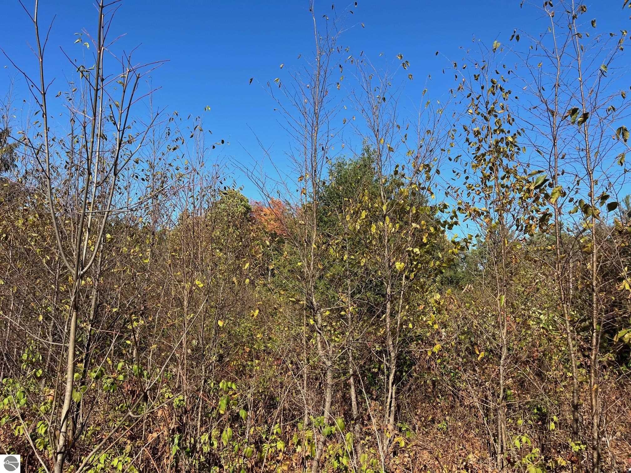 8812 Hemlock Hill Drive