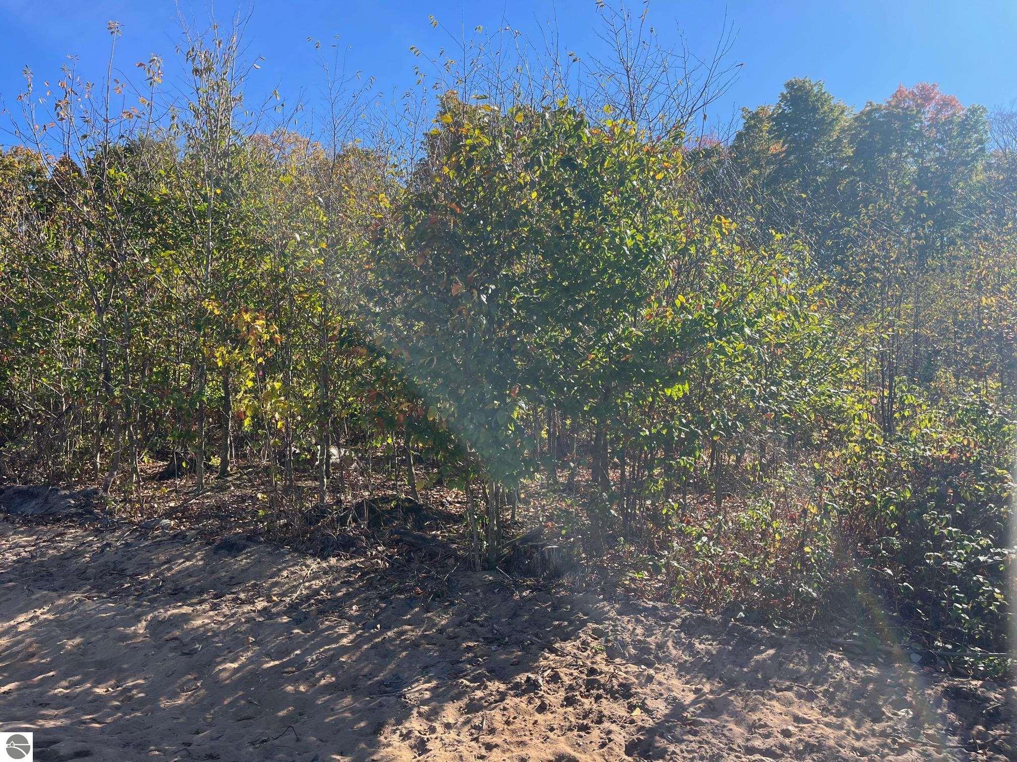 8753 Hemlock Hill Drive