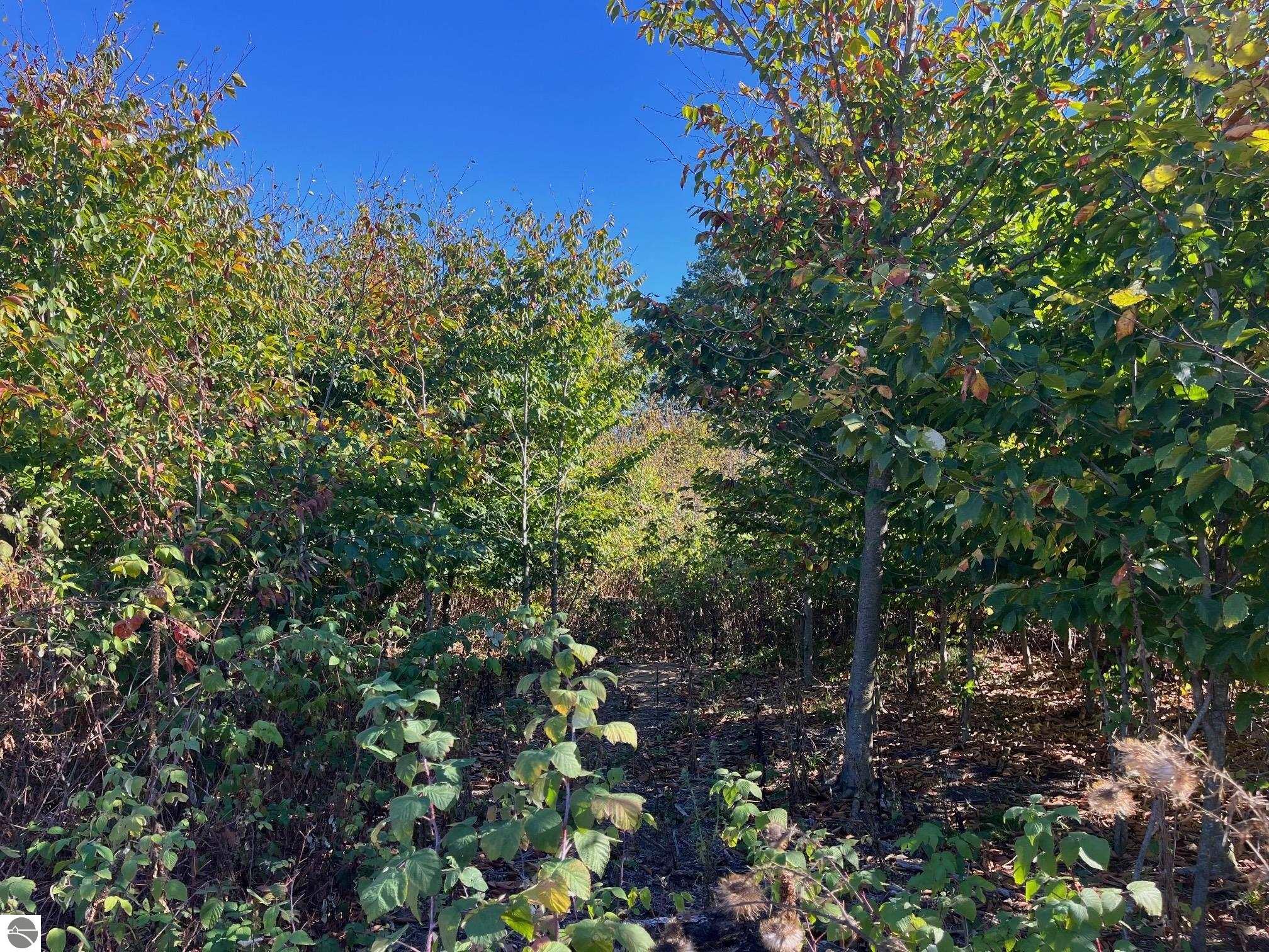 8753 Hemlock Hill Drive