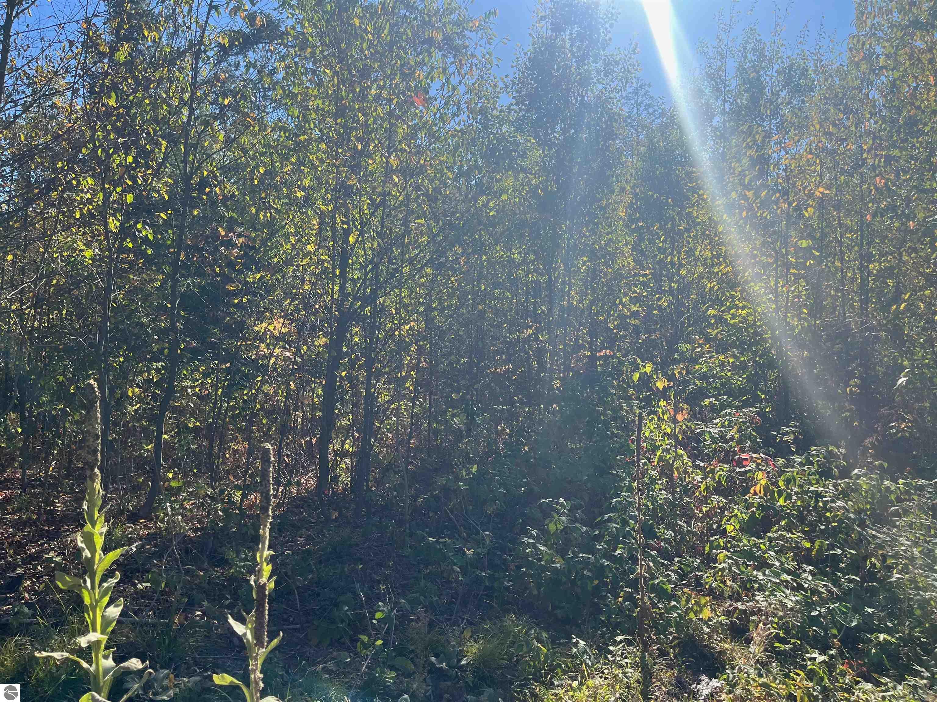 8889 Hemlock Hill Drive