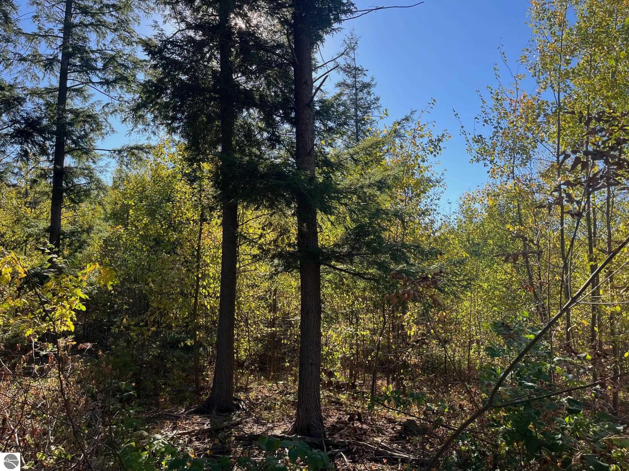 8889 Hemlock Hill Drive