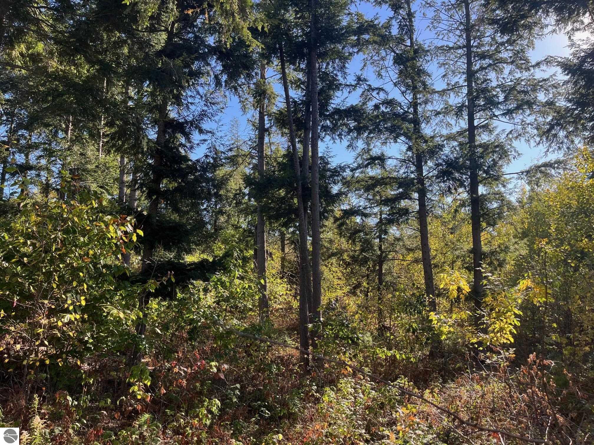 8889 Hemlock Hill Drive