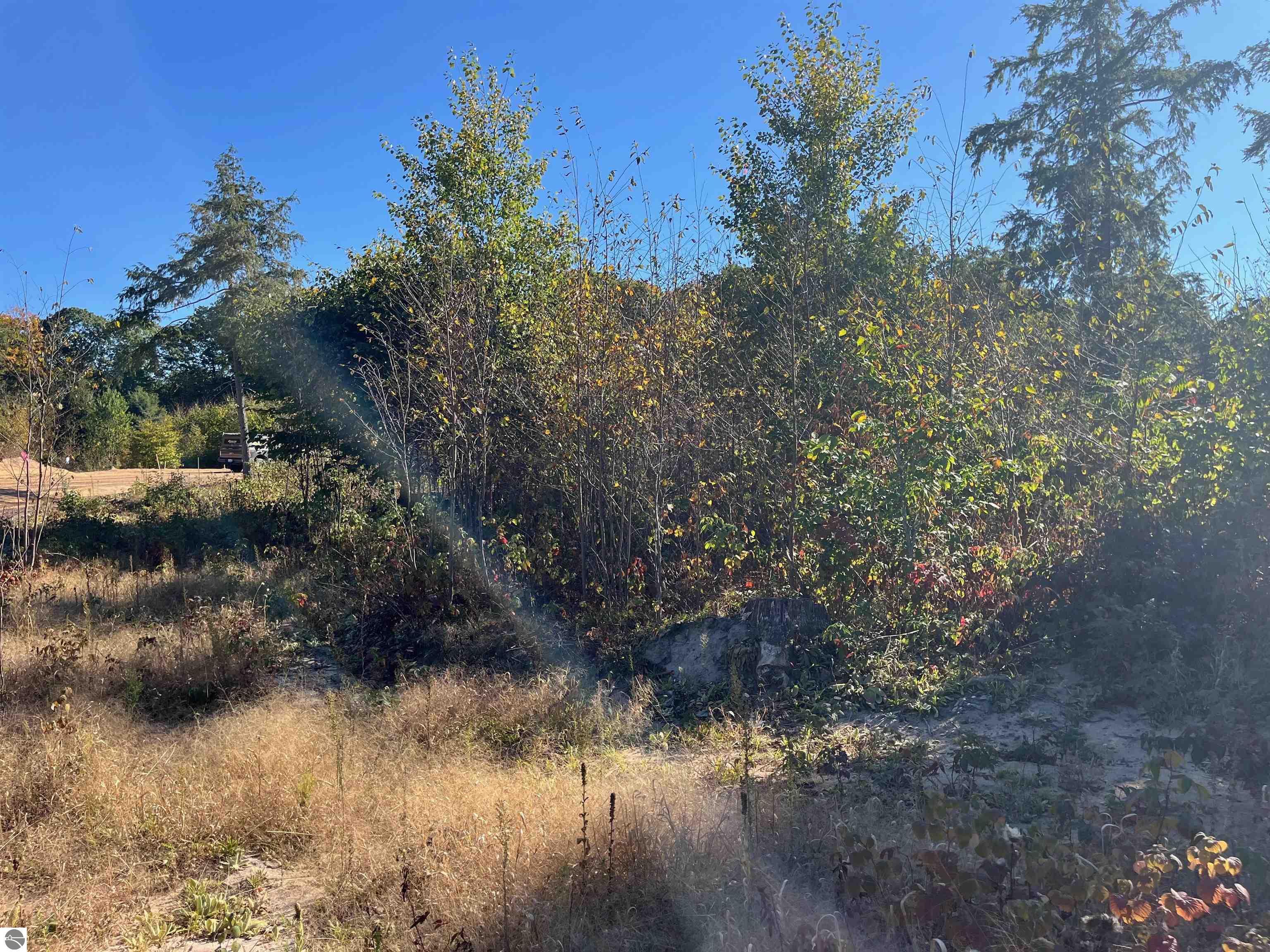 8837 Hemlock Hill Drive