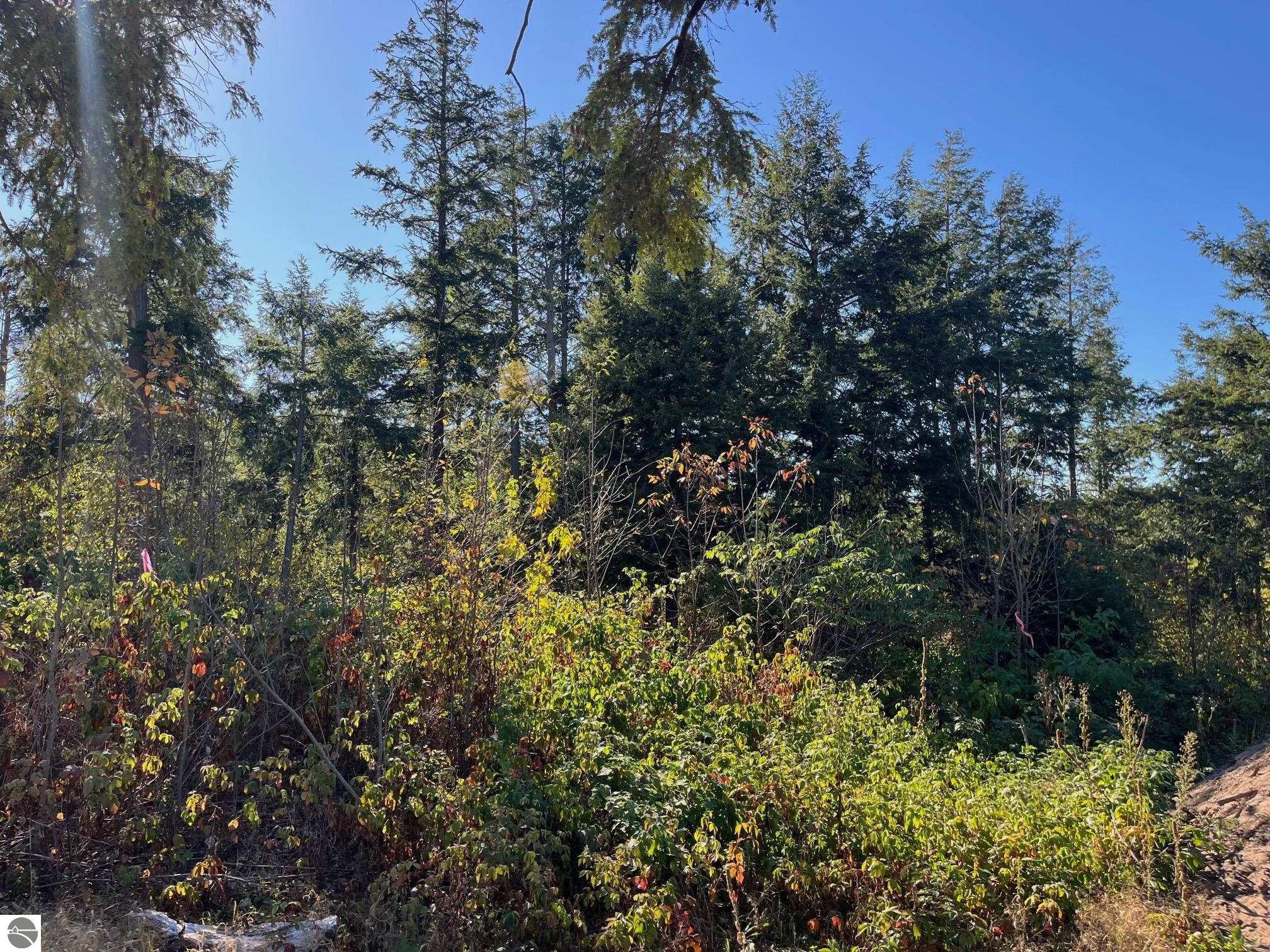 8837 Hemlock Hill Drive