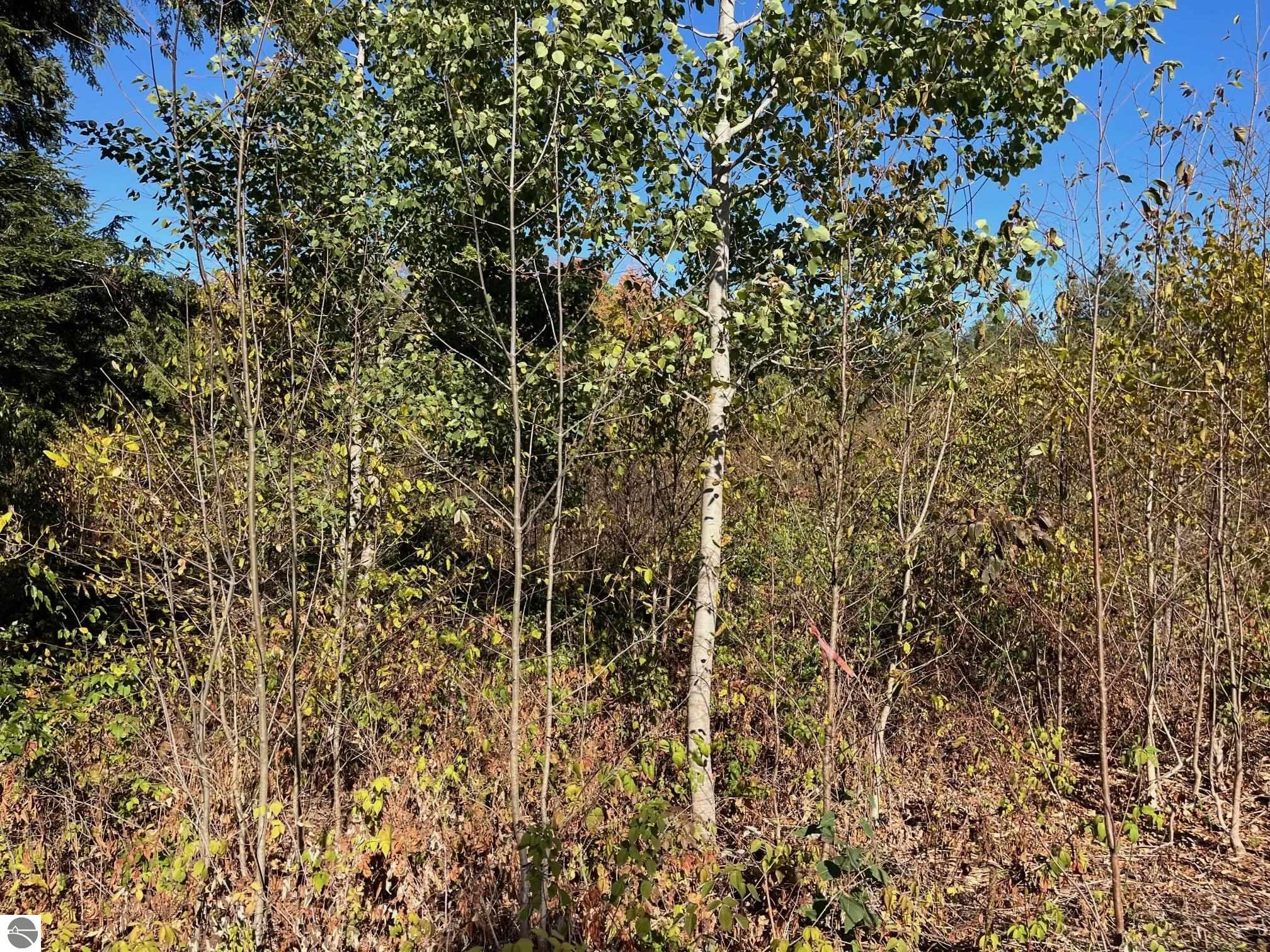 8824 Hemlock Hill Drive