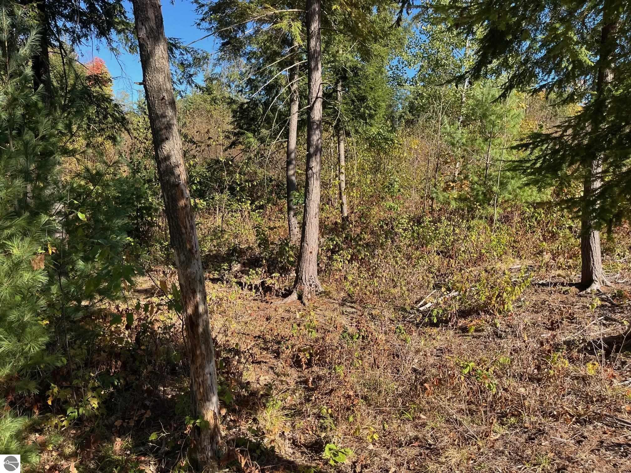 8824 Hemlock Hill Drive