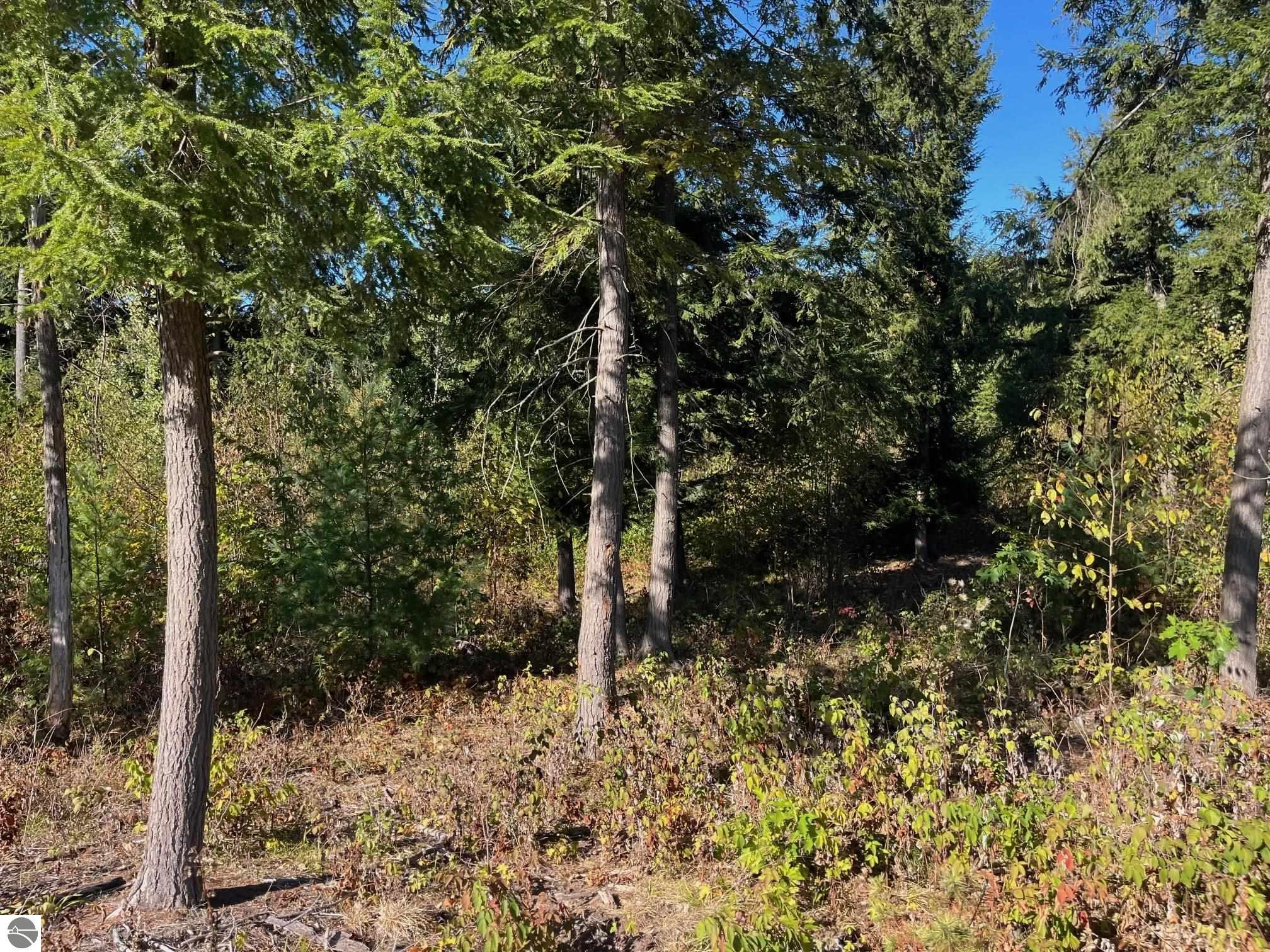 8824 Hemlock Hill Drive