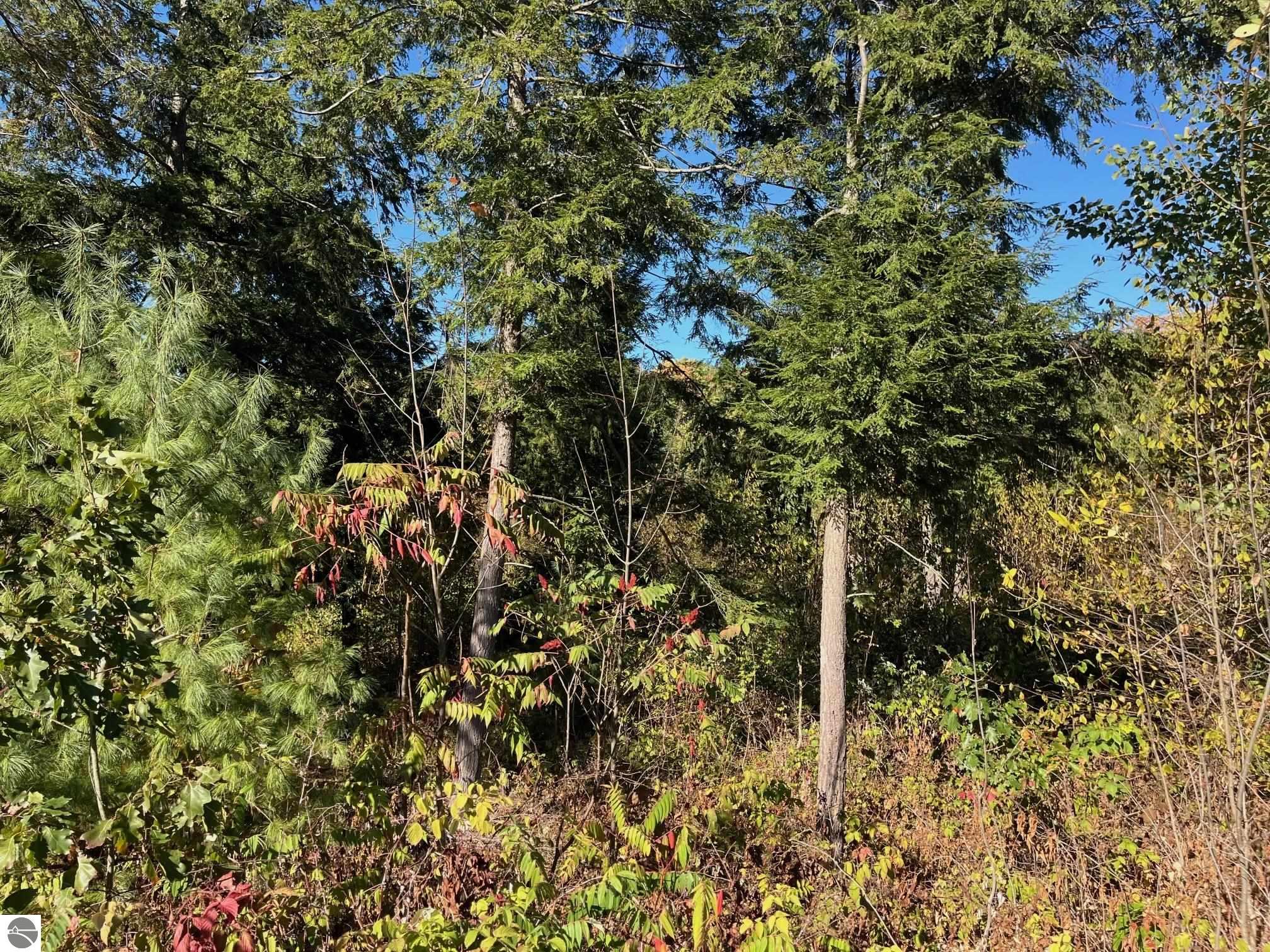 8824 Hemlock Hill Drive