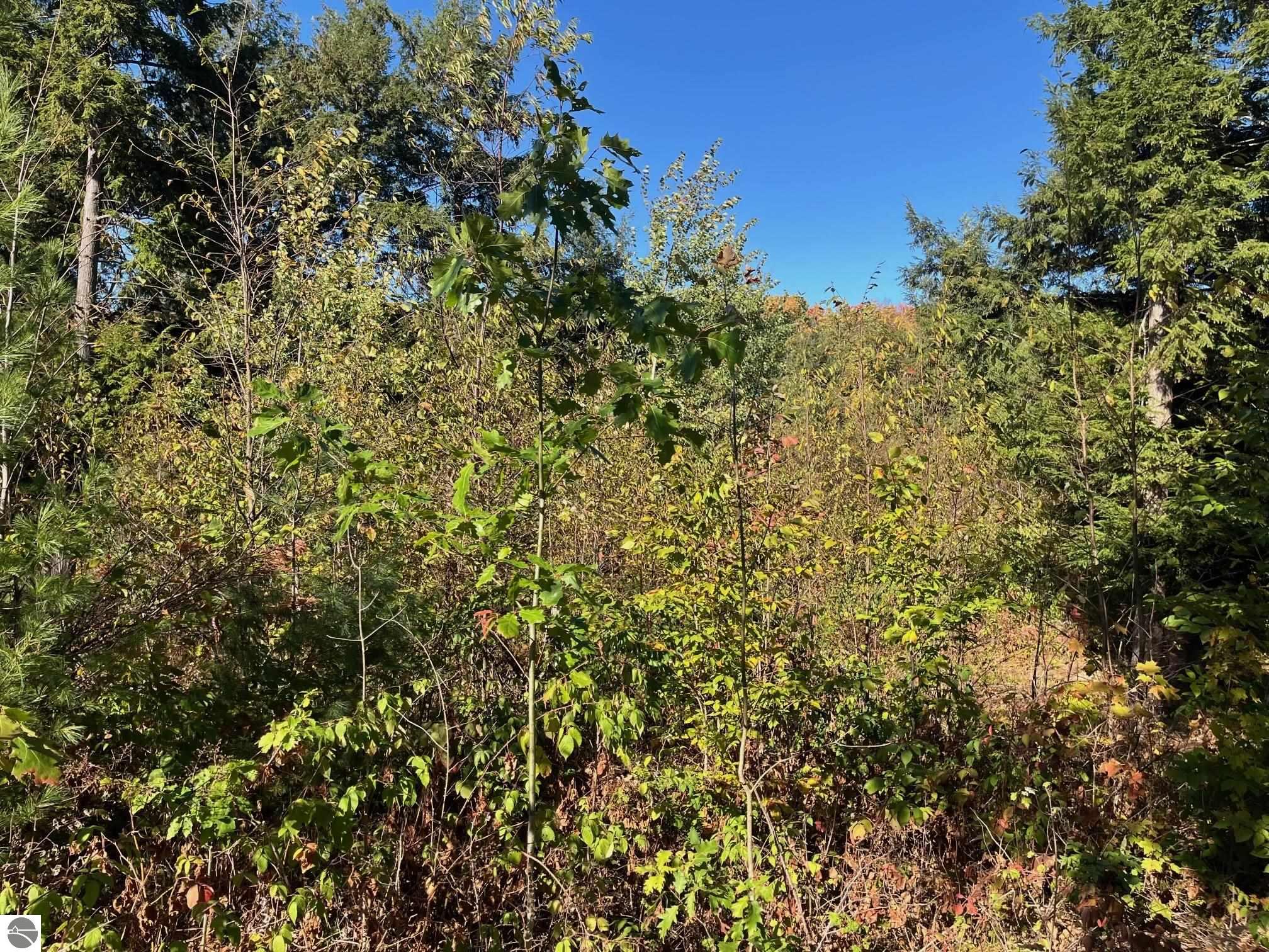 8824 Hemlock Hill Drive