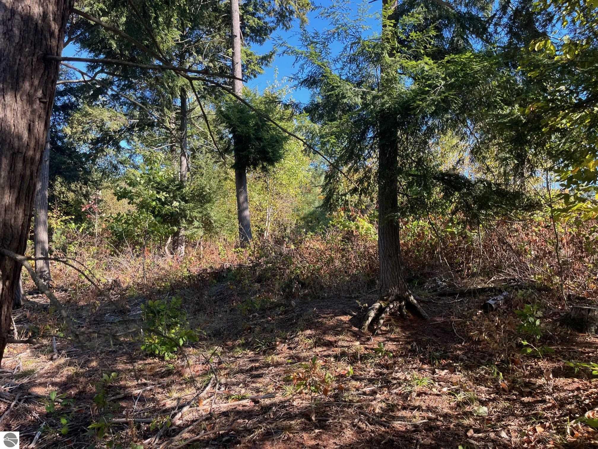 8852 Hemlock Hill Drive