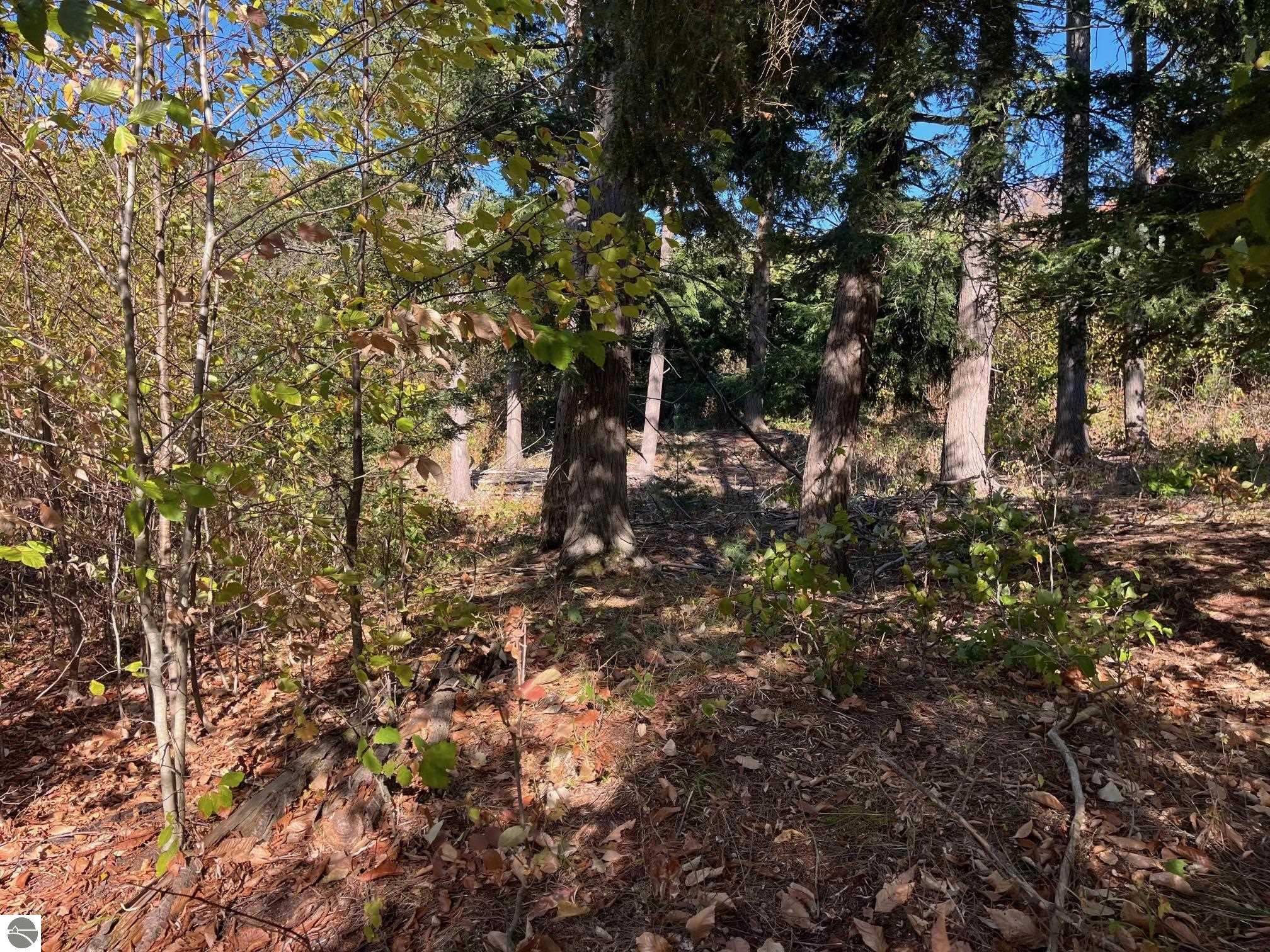 8852 Hemlock Hill Drive