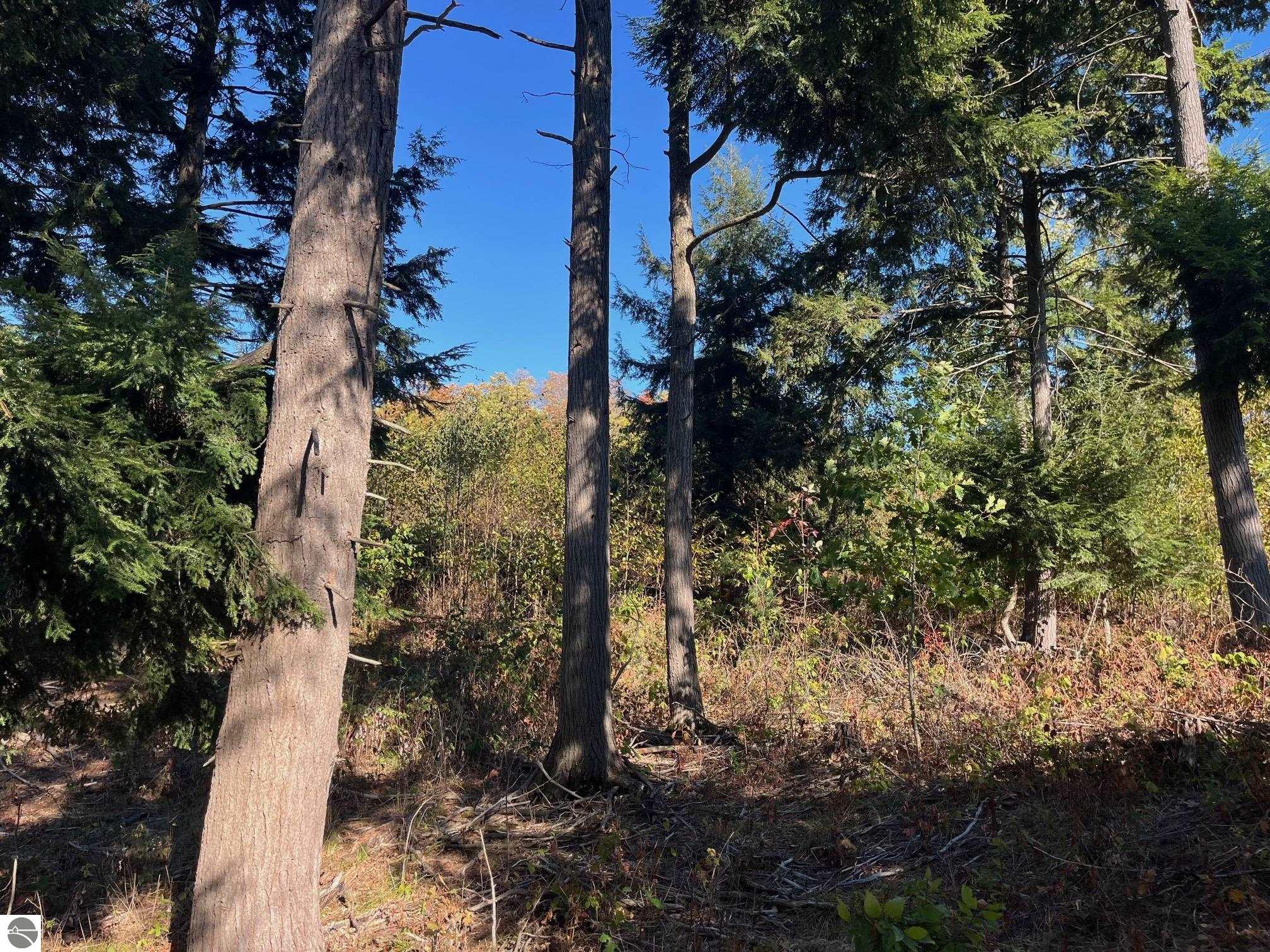 8852 Hemlock Hill Drive