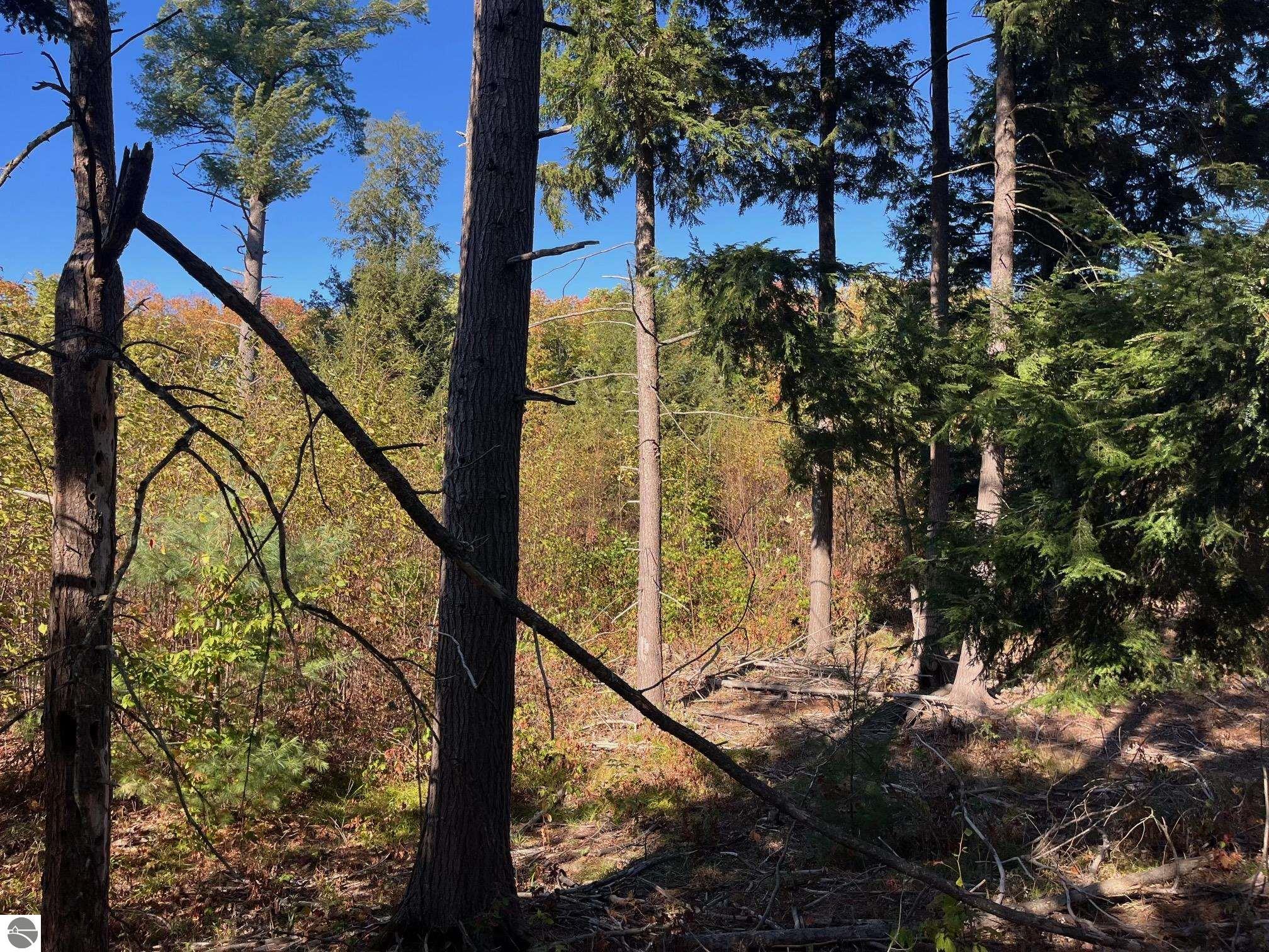 8852 Hemlock Hill Drive