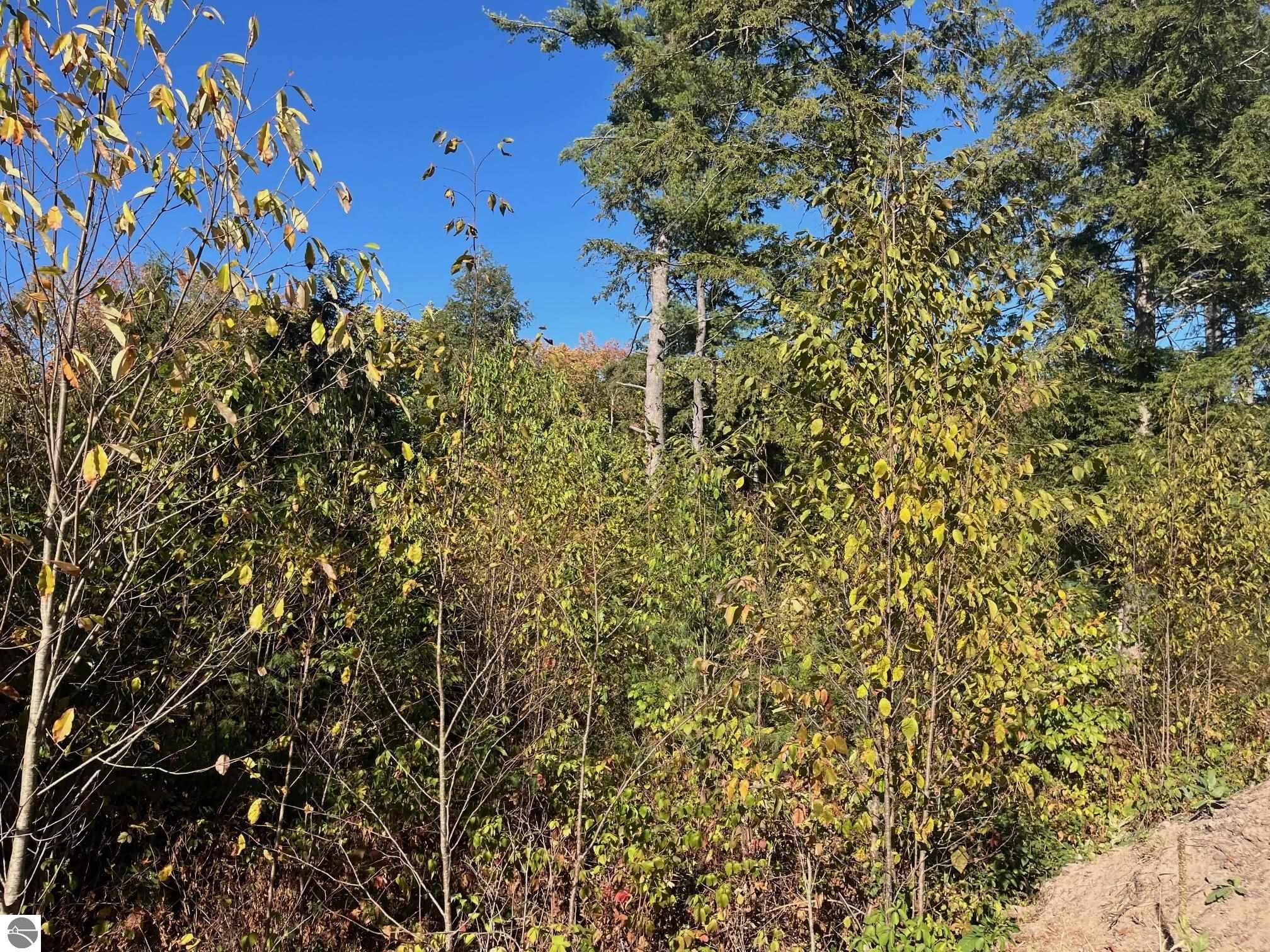 8886 Hemlock Hill Drive