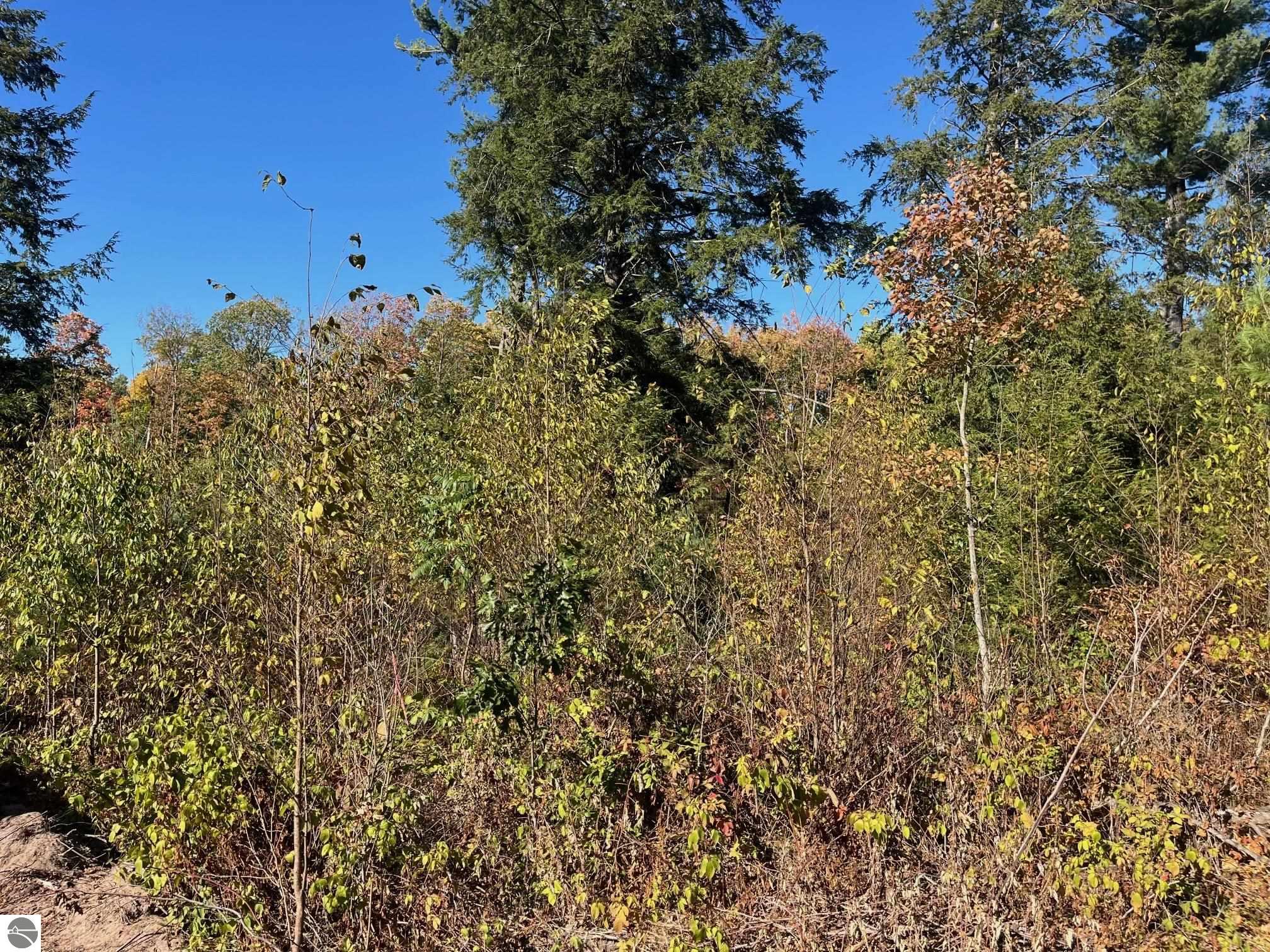 8886 Hemlock Hill Drive