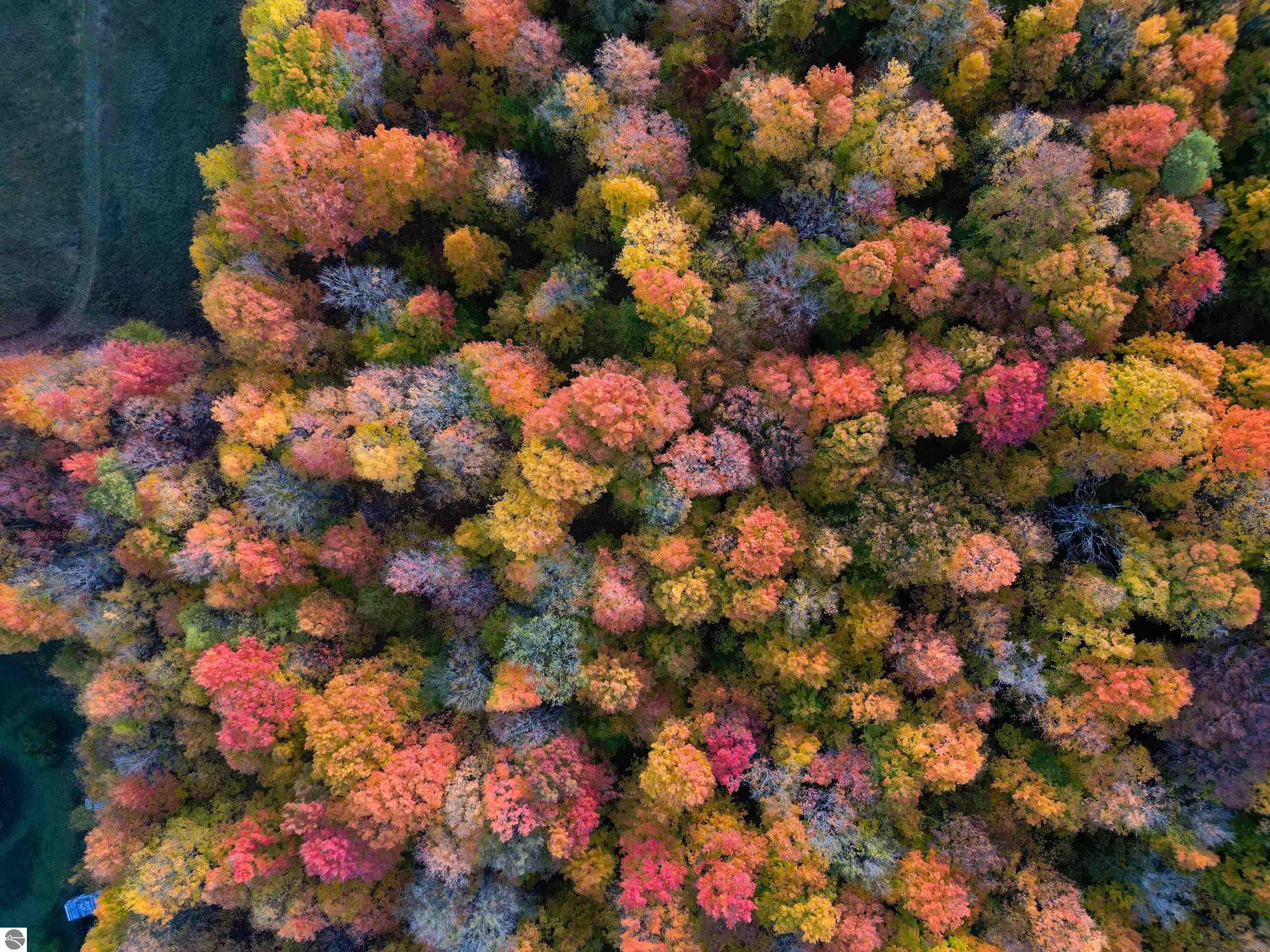 Parcel B Schichtel Road