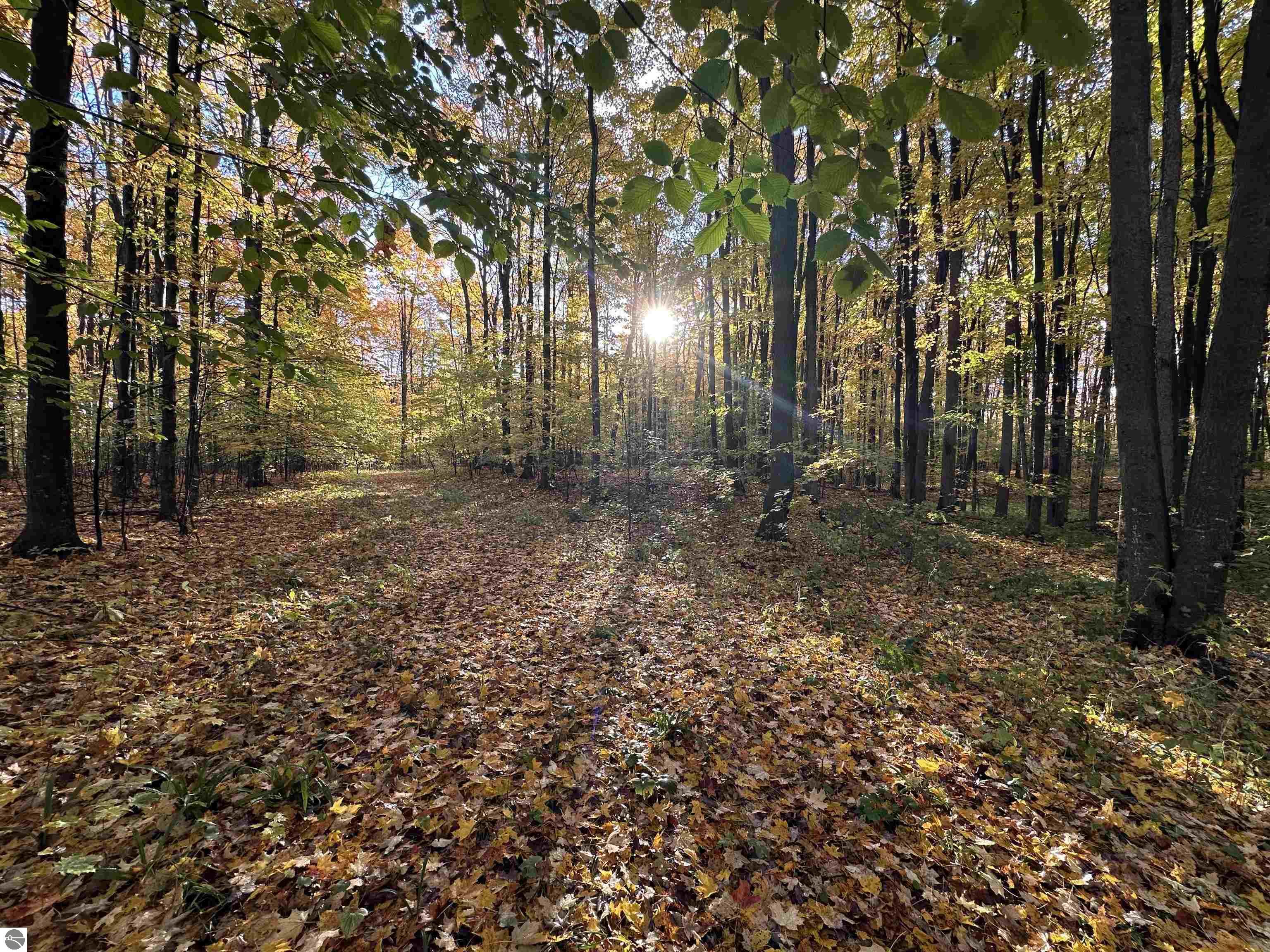 Parcel B Schichtel Road