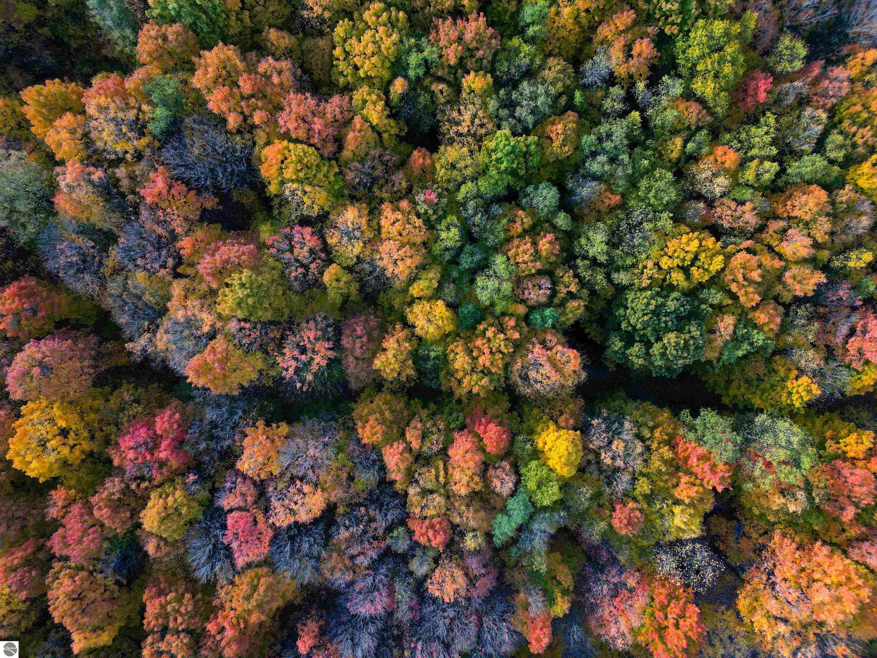 Parcel B Schichtel Road