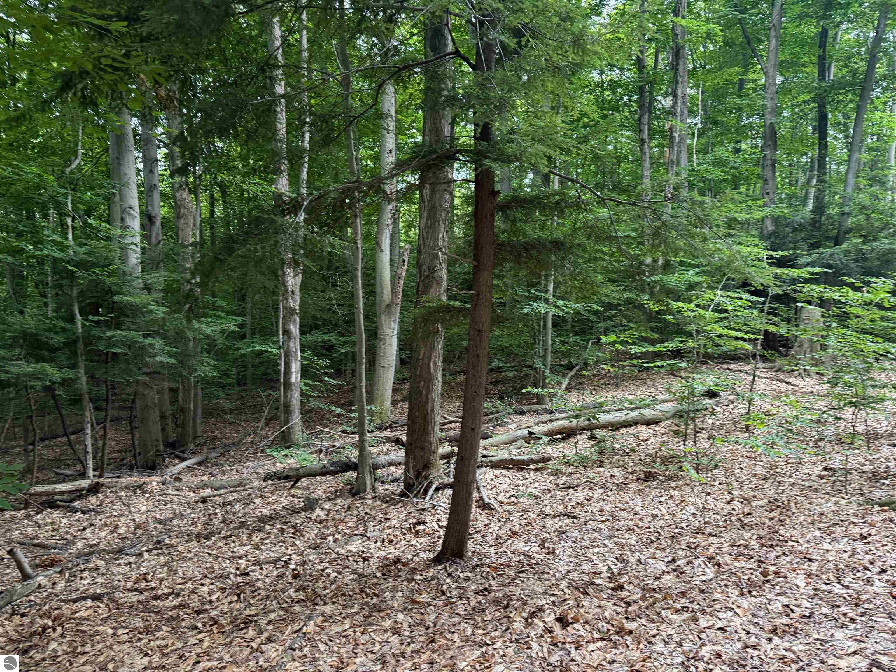 00000 S Bridle Trail