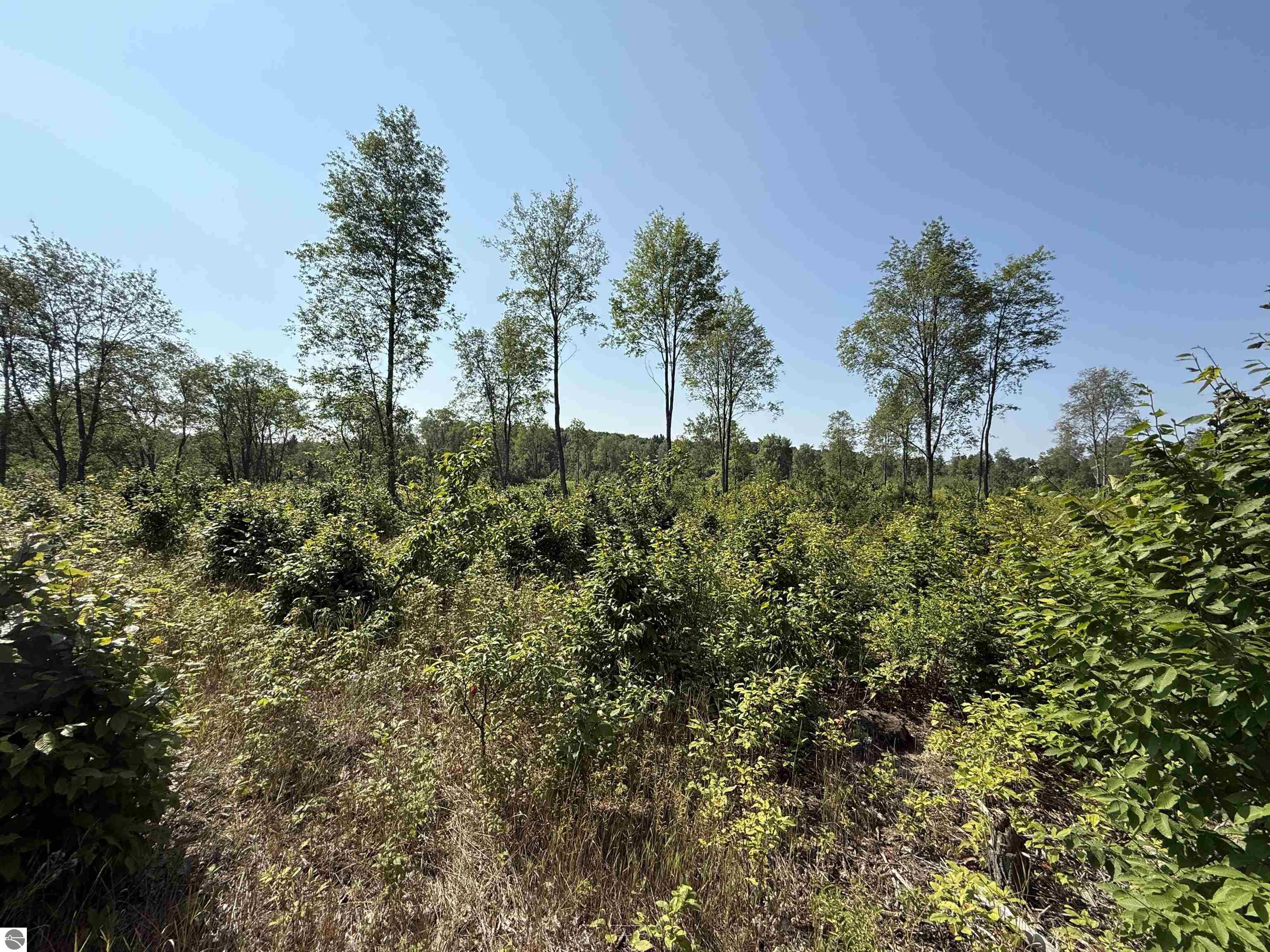 Parcel A3 E Kasson Road