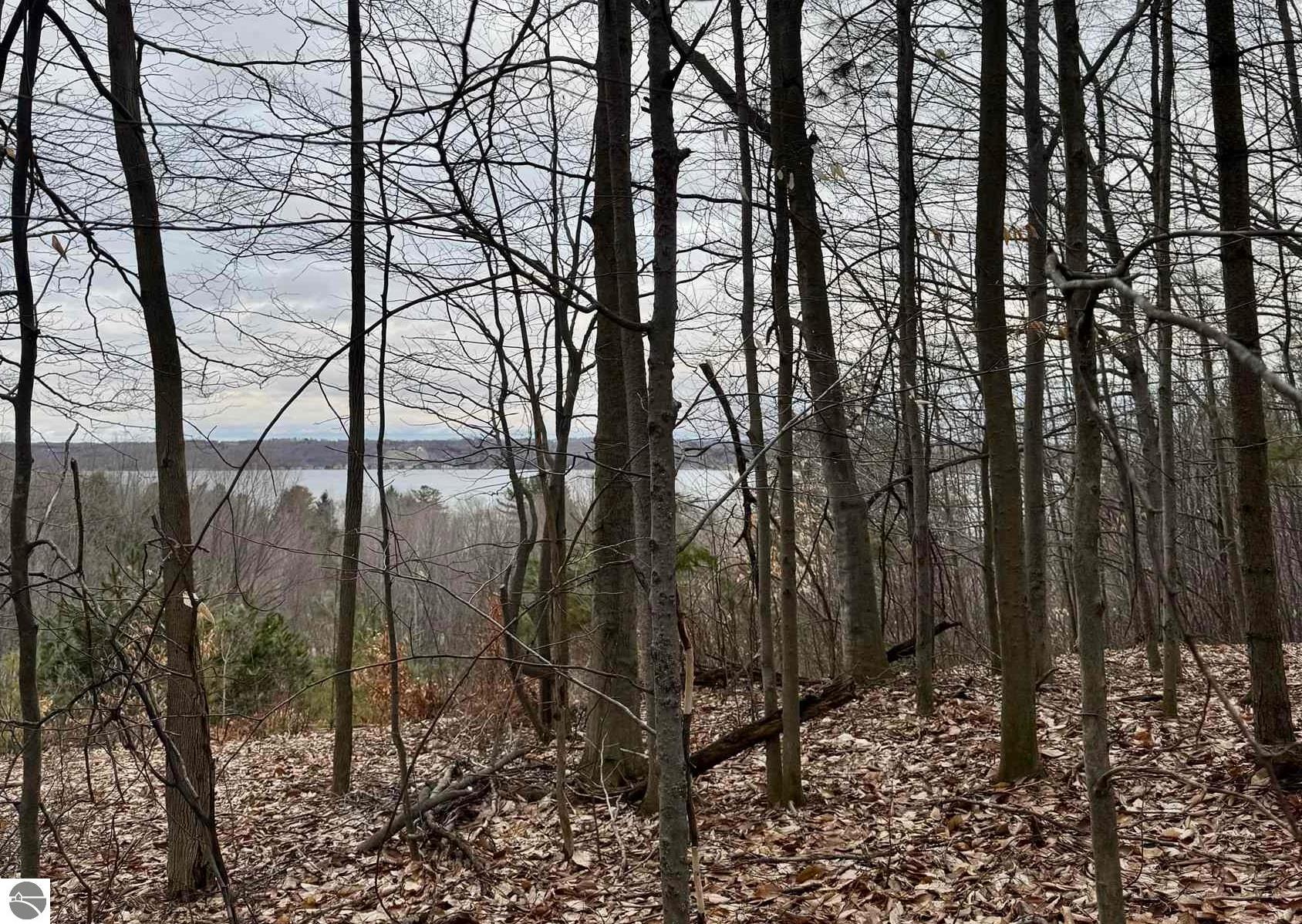 E Hidden Beech Drive