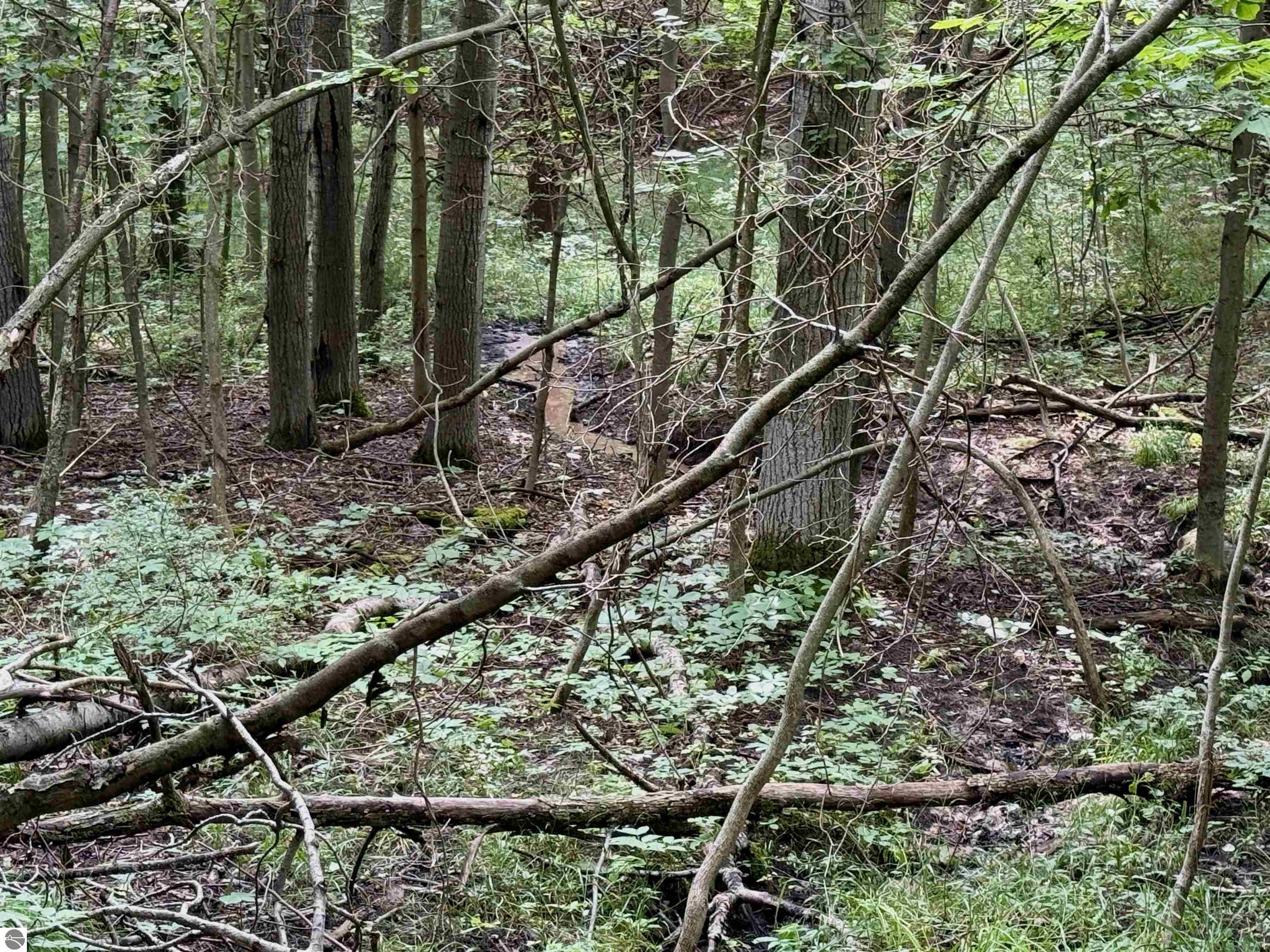 0000 W Empire Highway