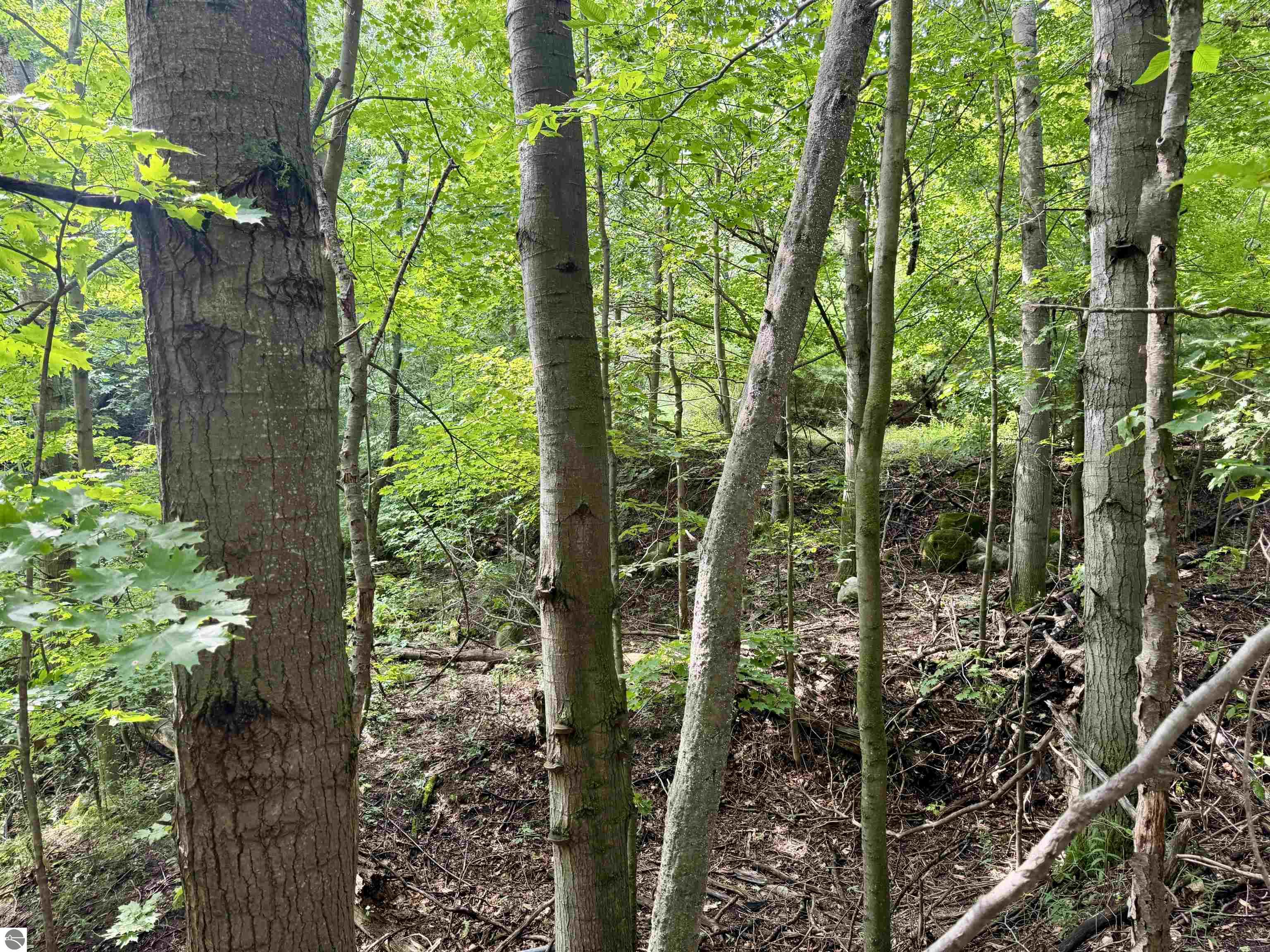 0000 W Empire Highway