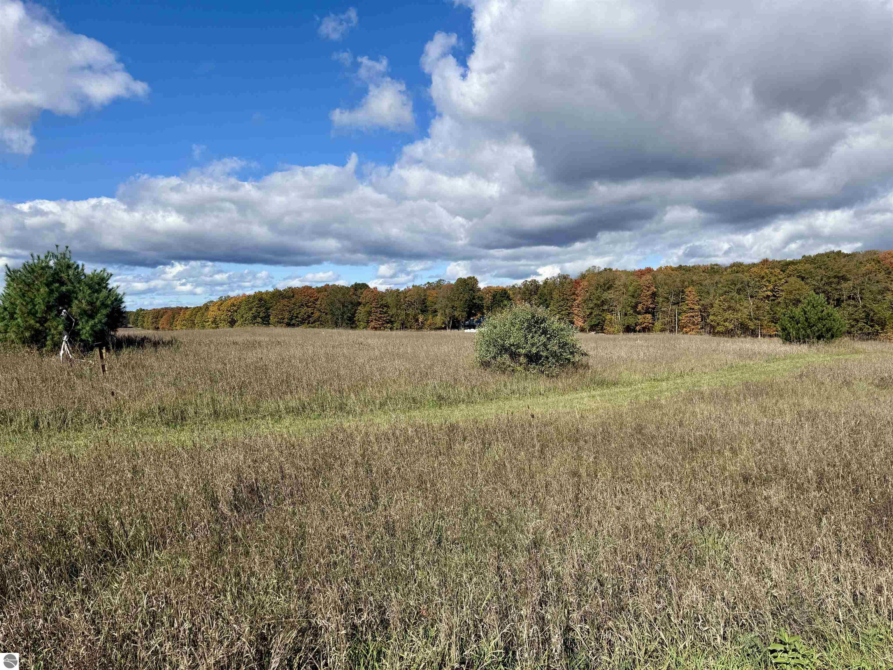 8320 Ole White Drive