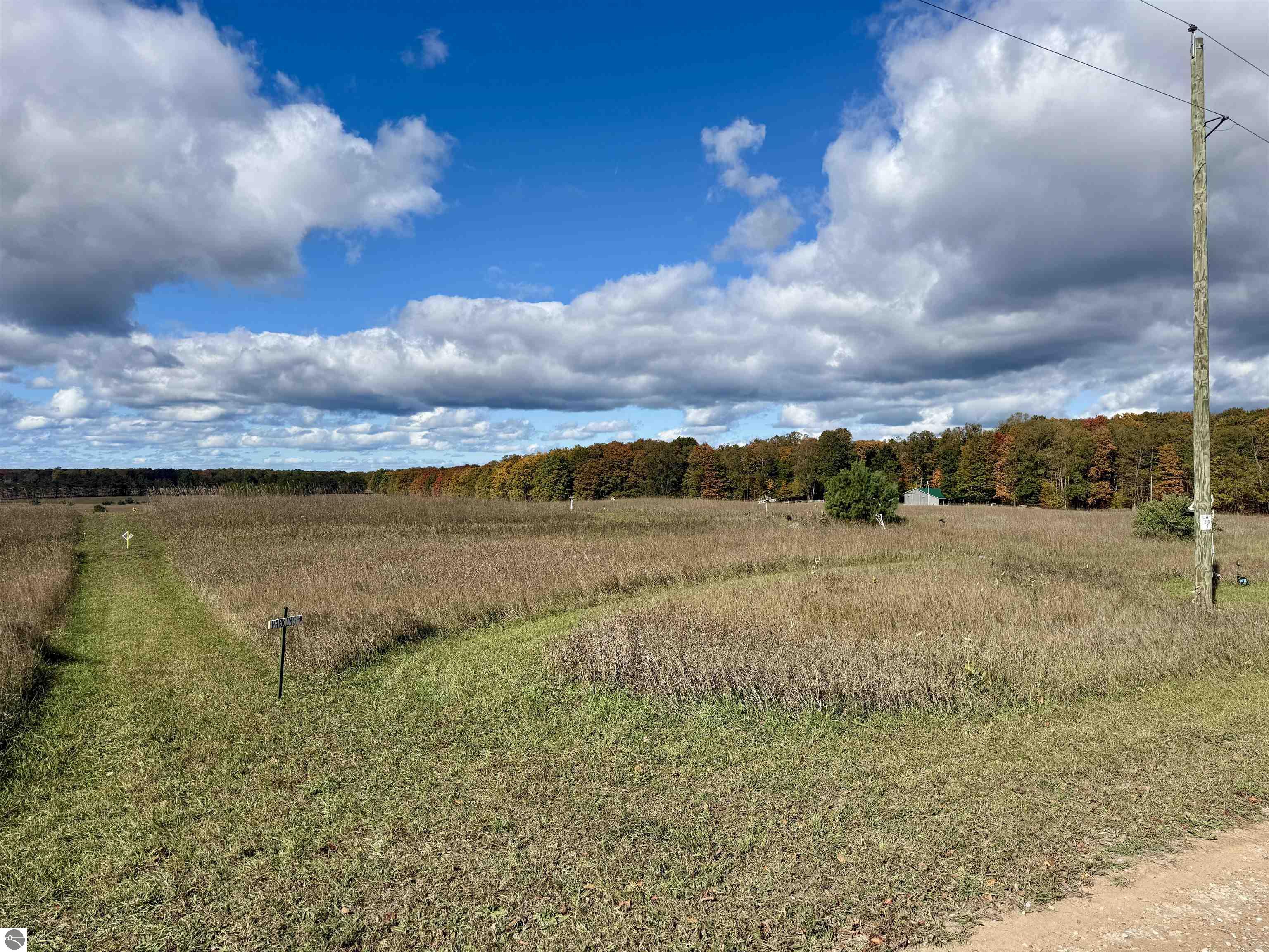 8320 Ole White Drive