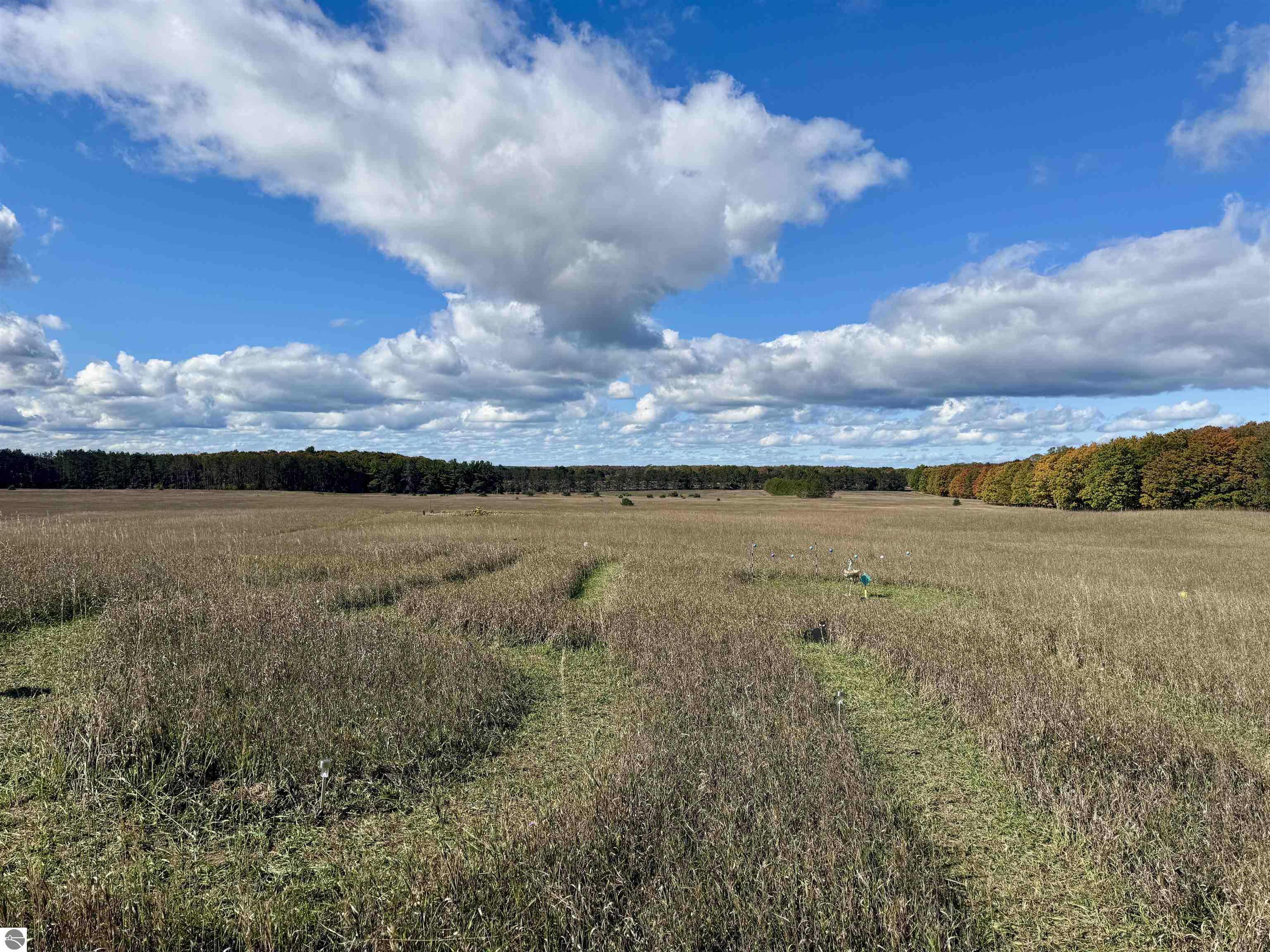 8320 Ole White Drive