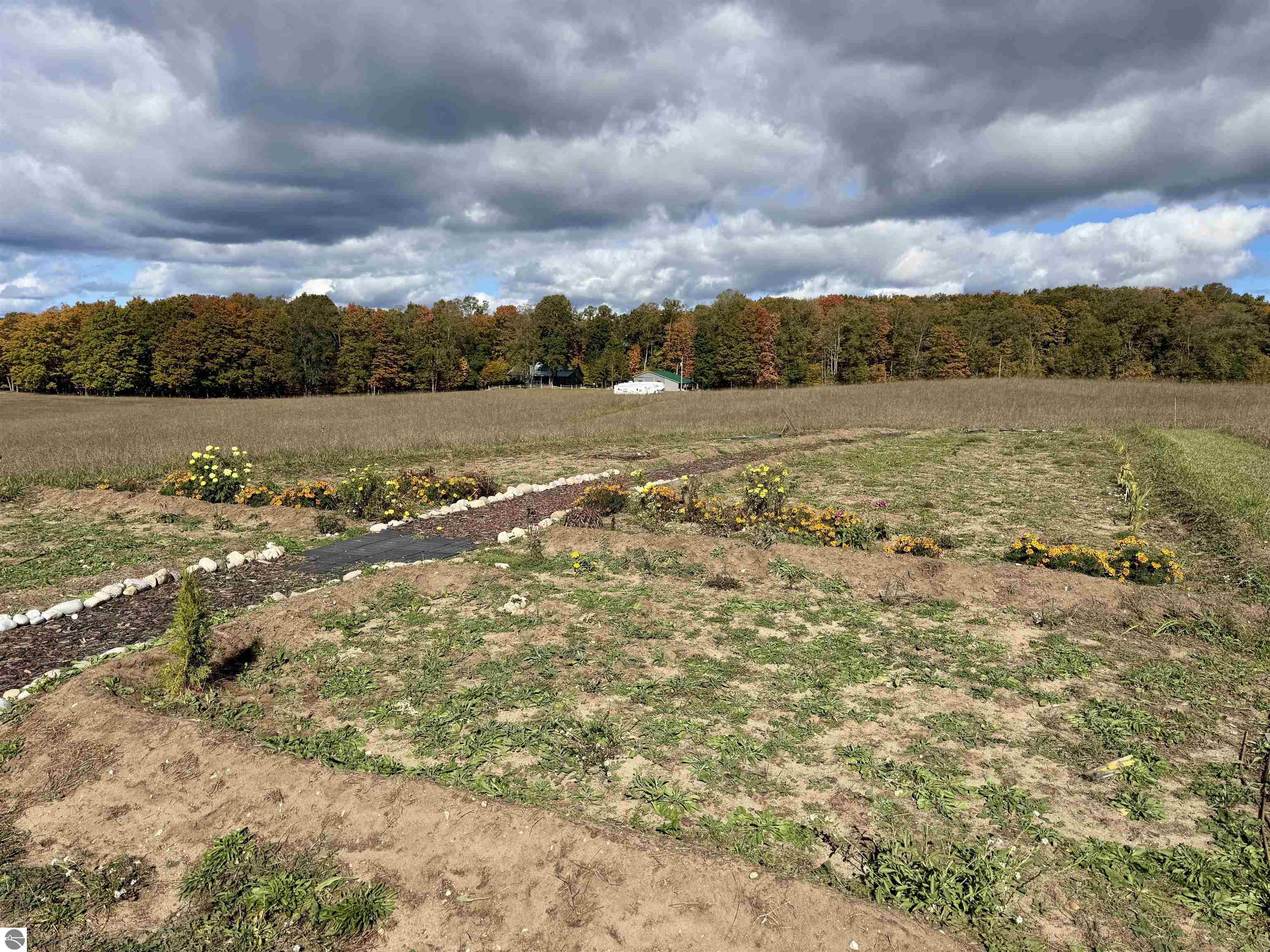 8320 Ole White Drive