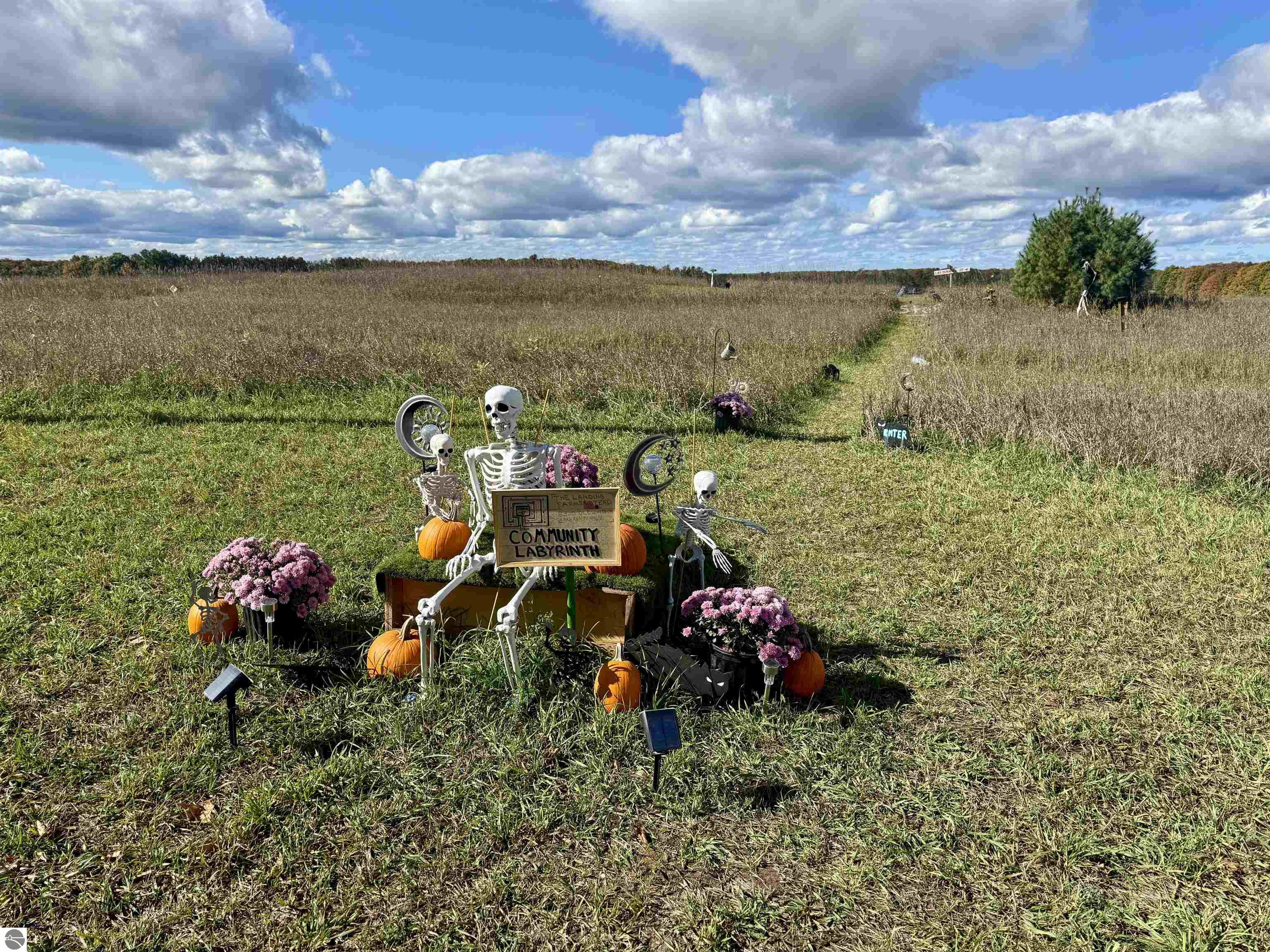 8320 Ole White Drive