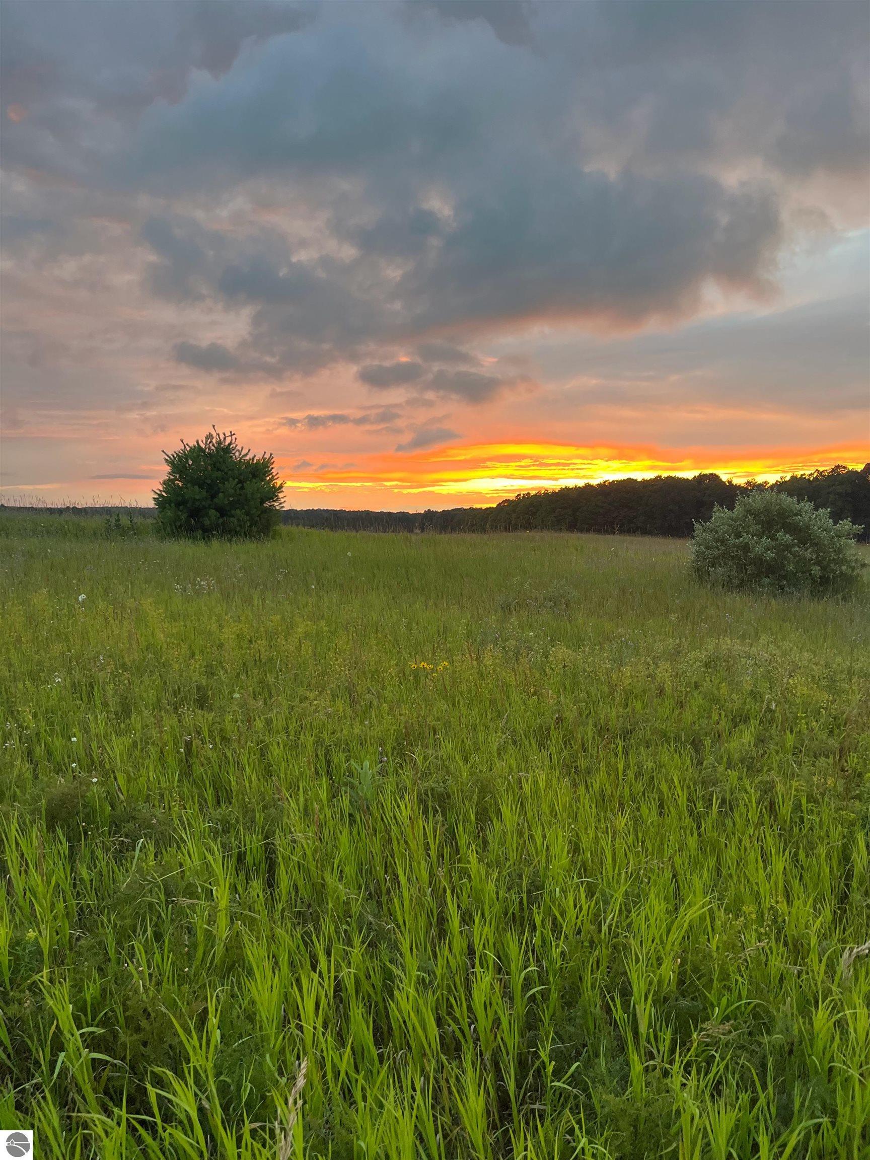 8320 Ole White Drive