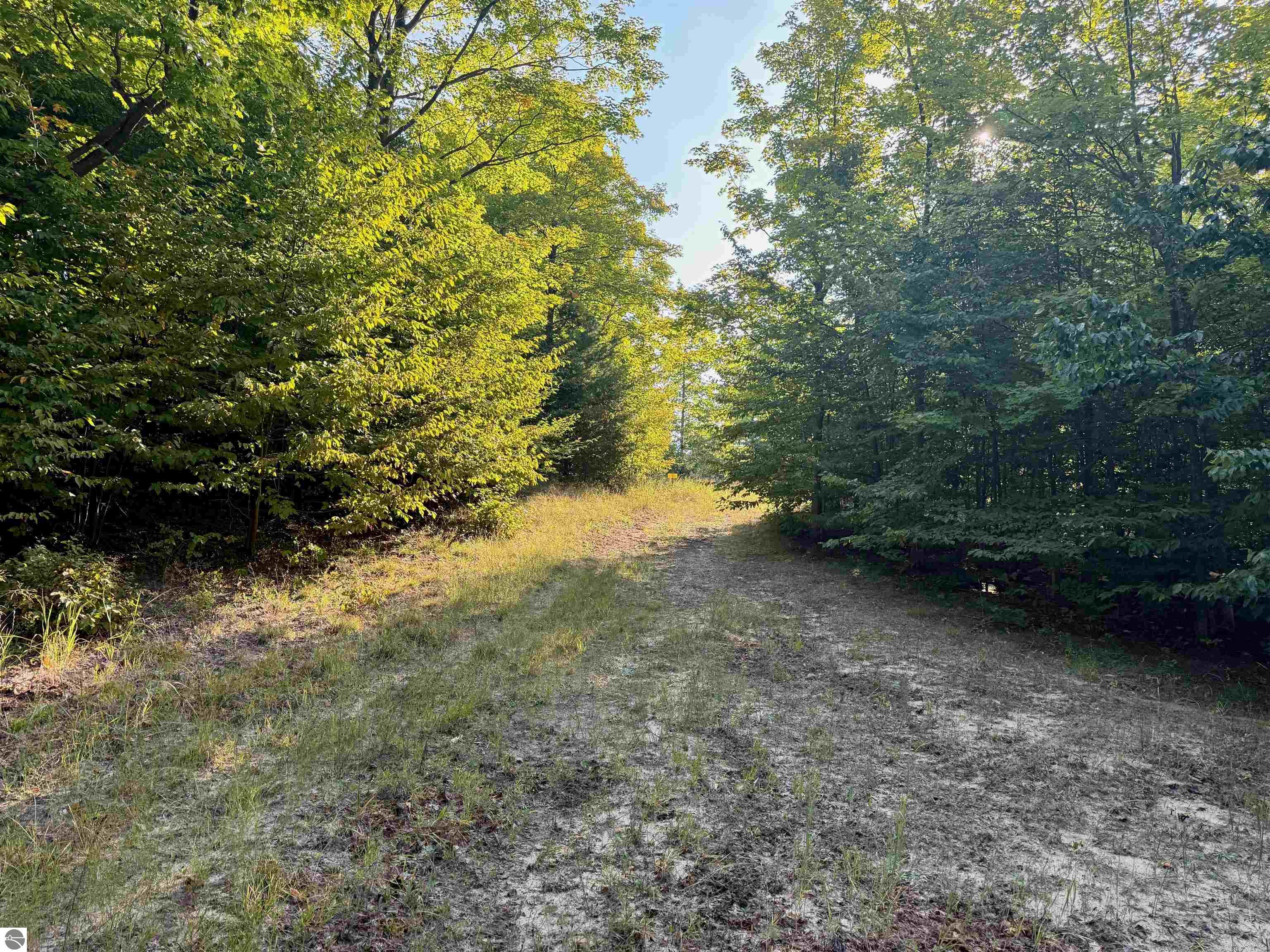 0 W Timber Wolf Court