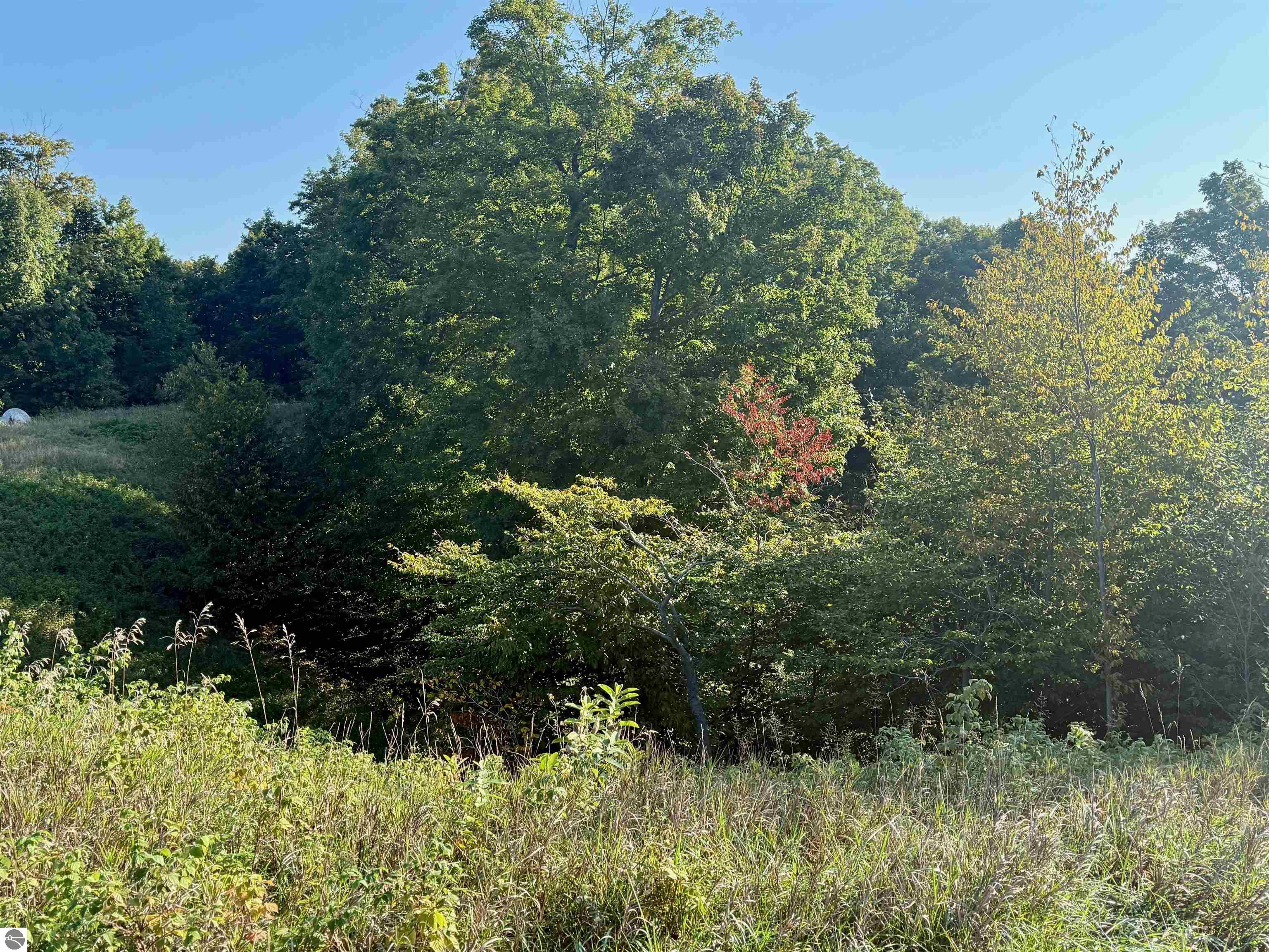 0 W Timber Wolf Court