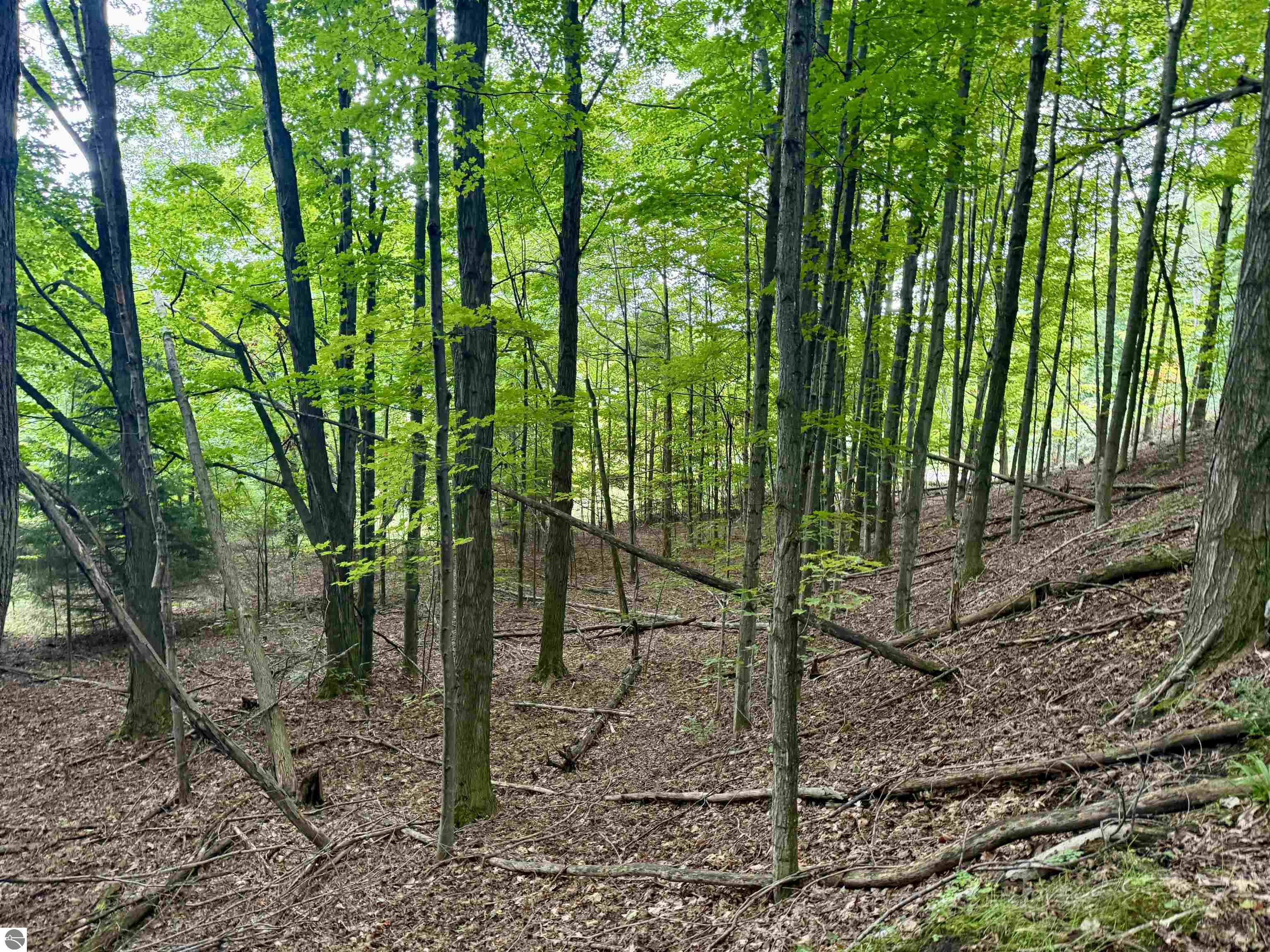 000 W Harbor Highway