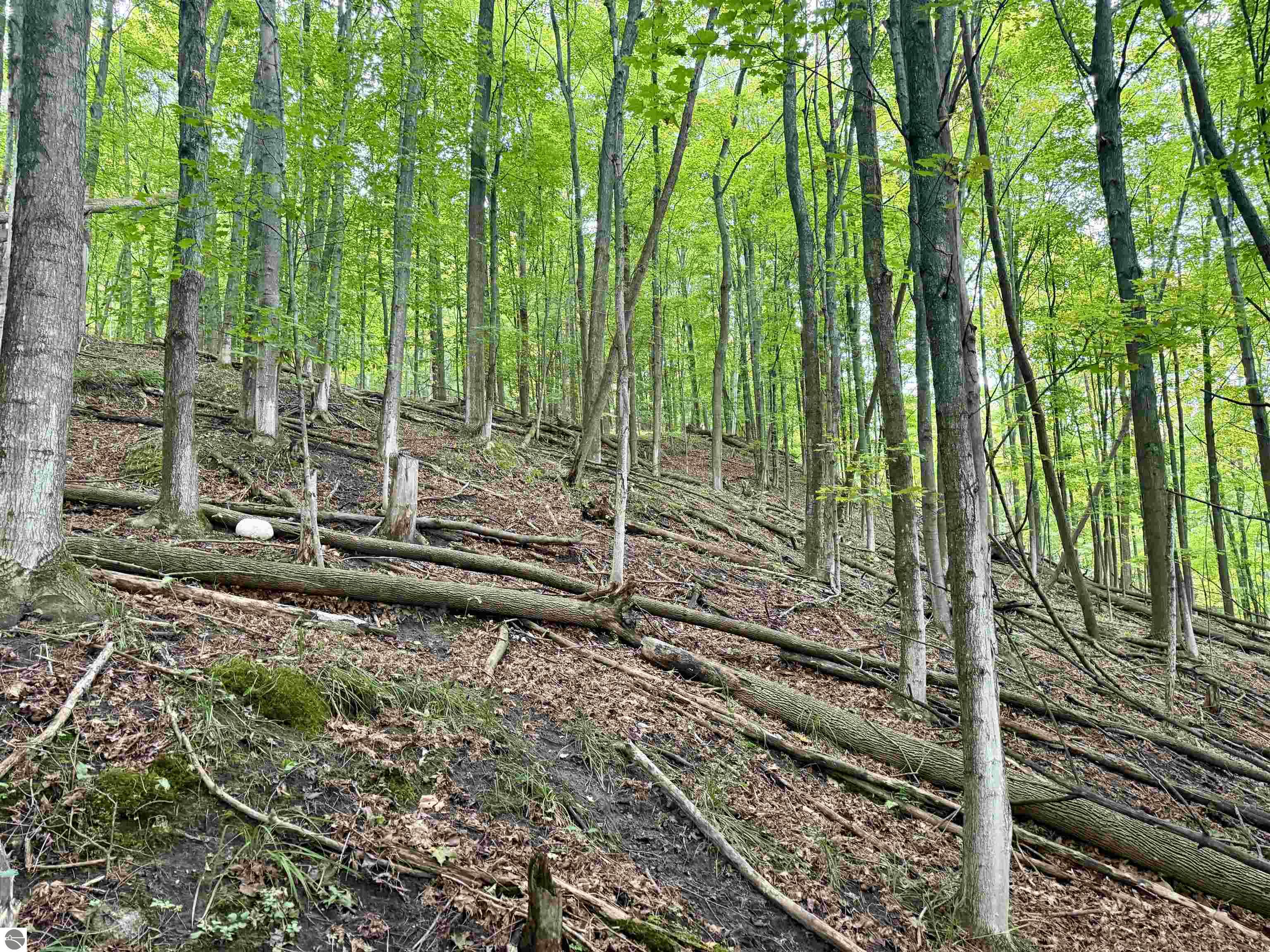 000 W Harbor Highway