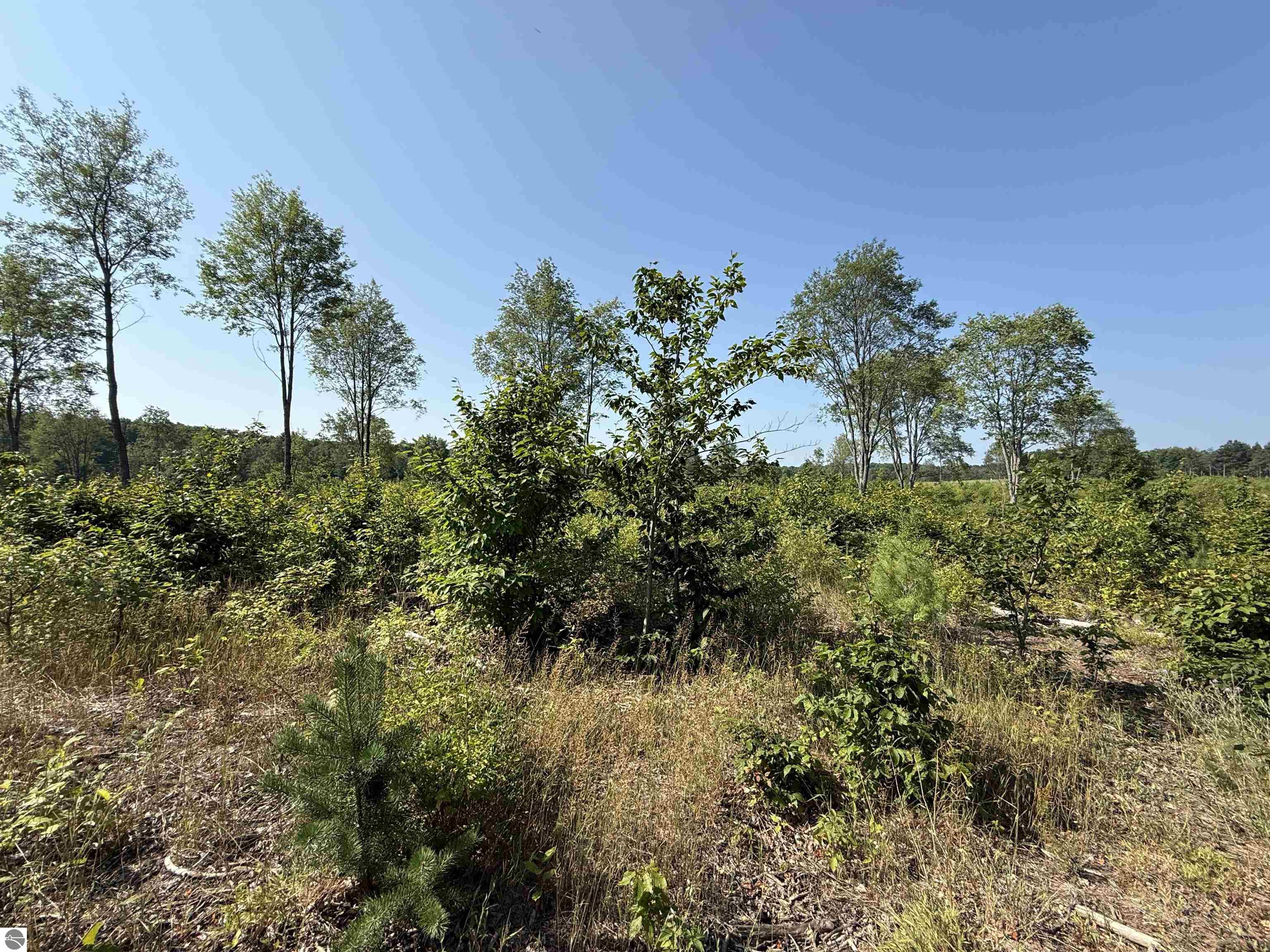 Parcel A3 E Kasson Road