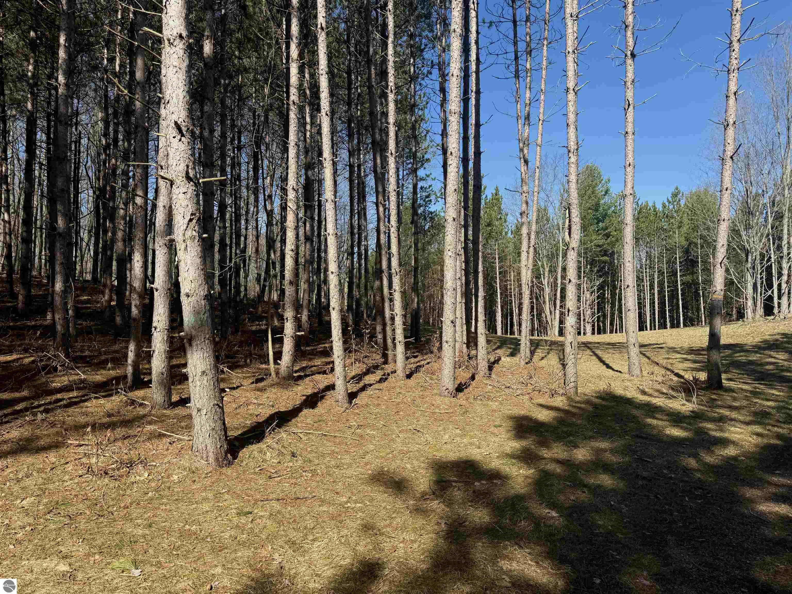 3041 Dockery Road, Nw