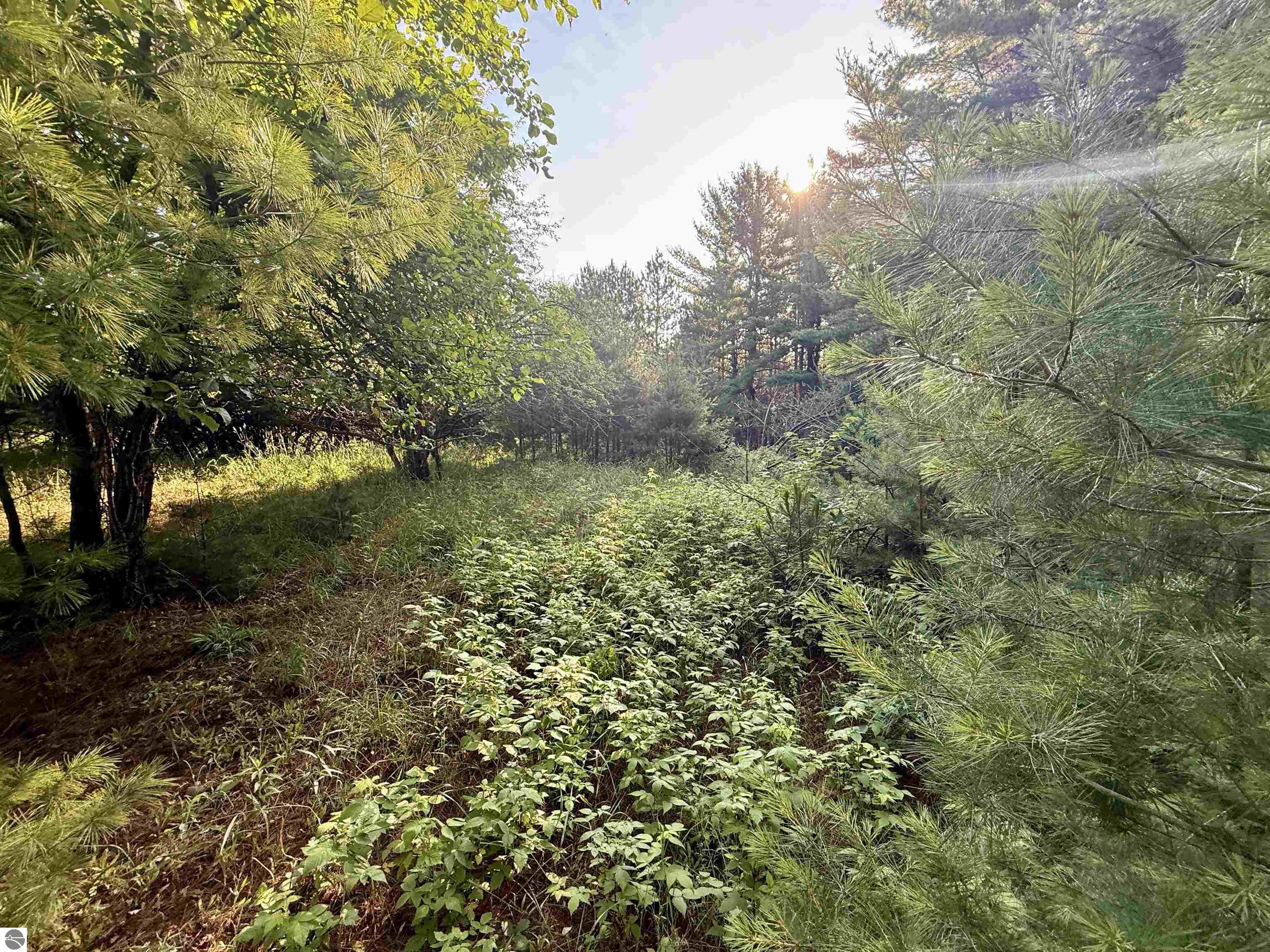 15 S Westview Drive