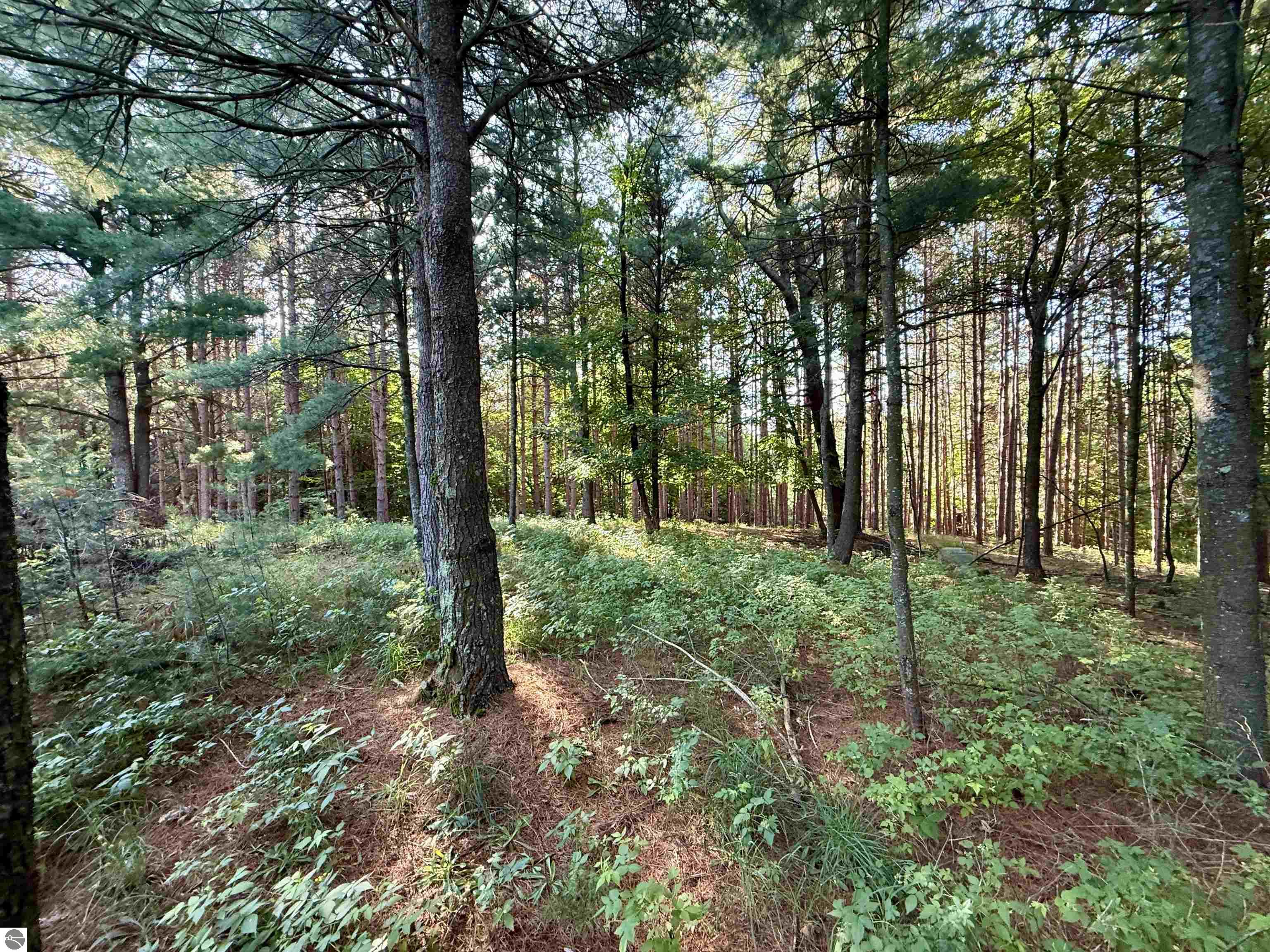 15 S Westview Drive