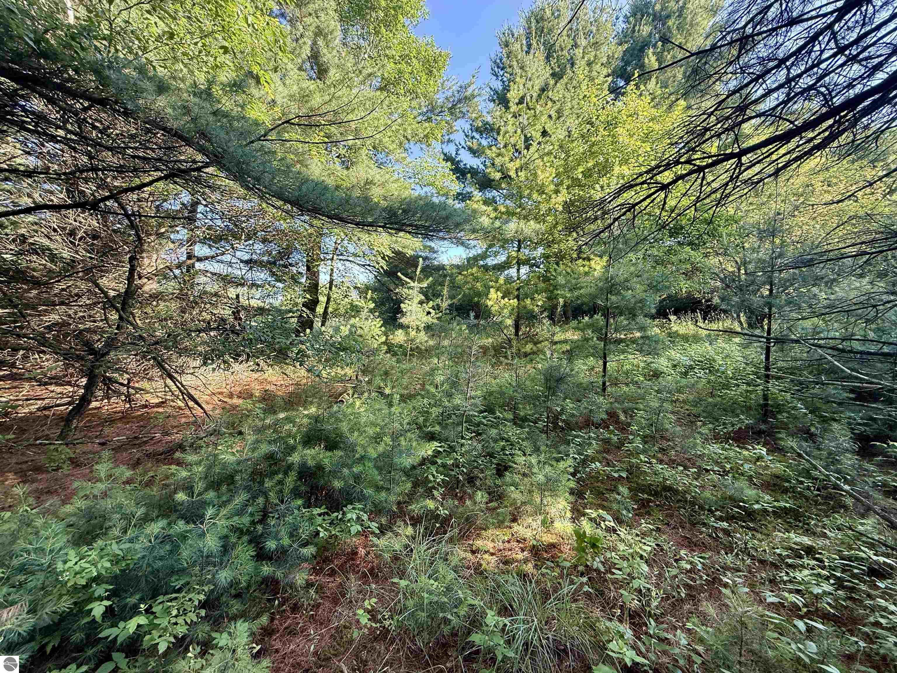 15 S Westview Drive