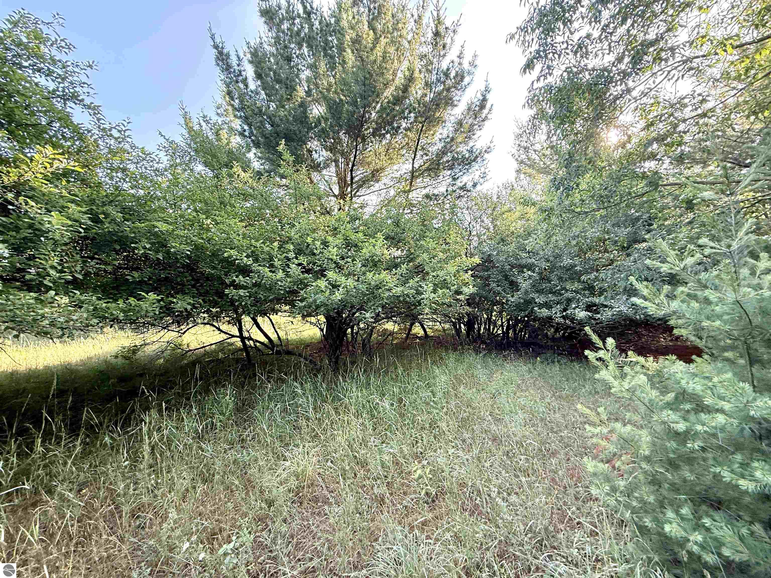 15 S Westview Drive