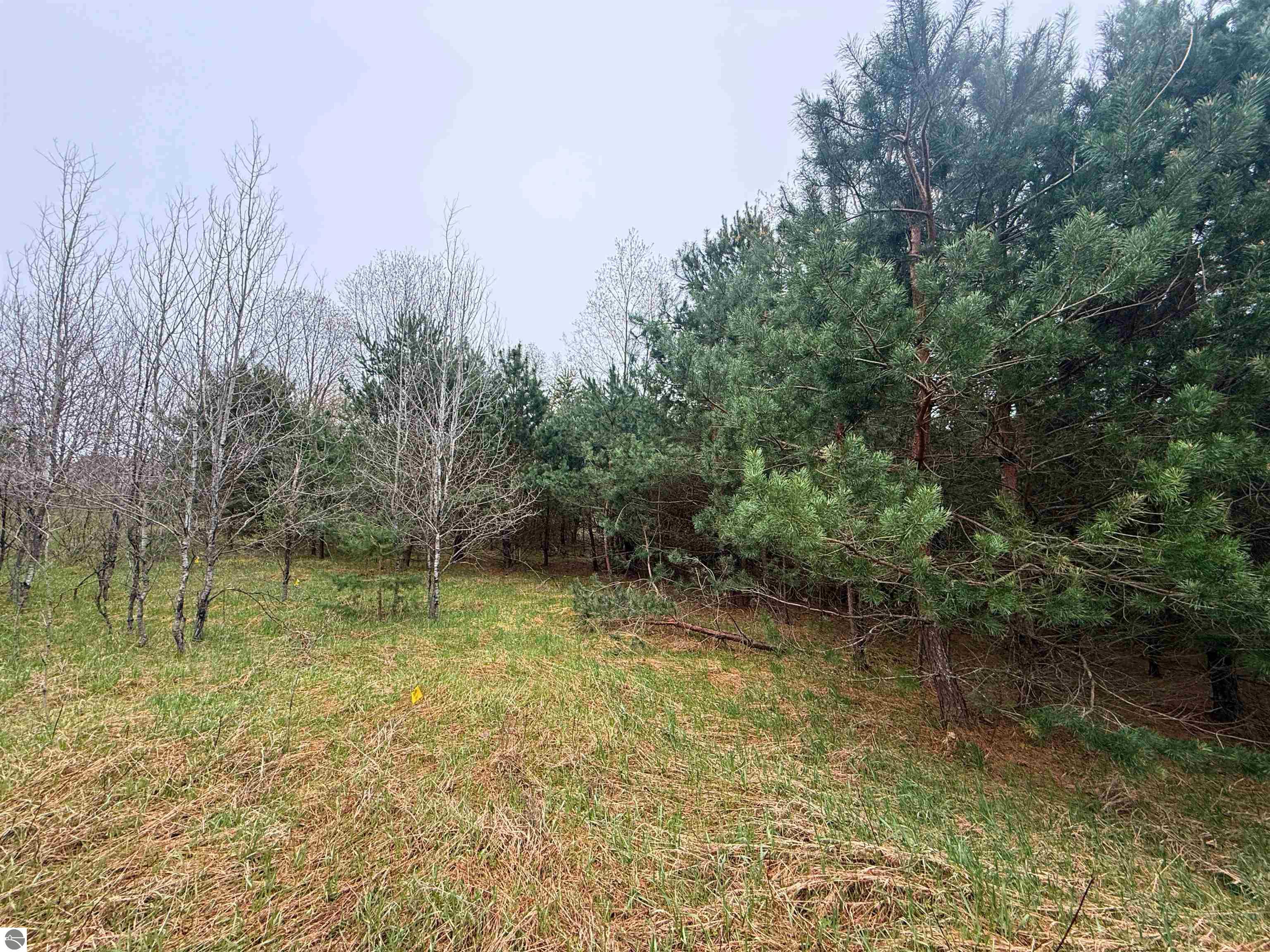 00 W County Line Road