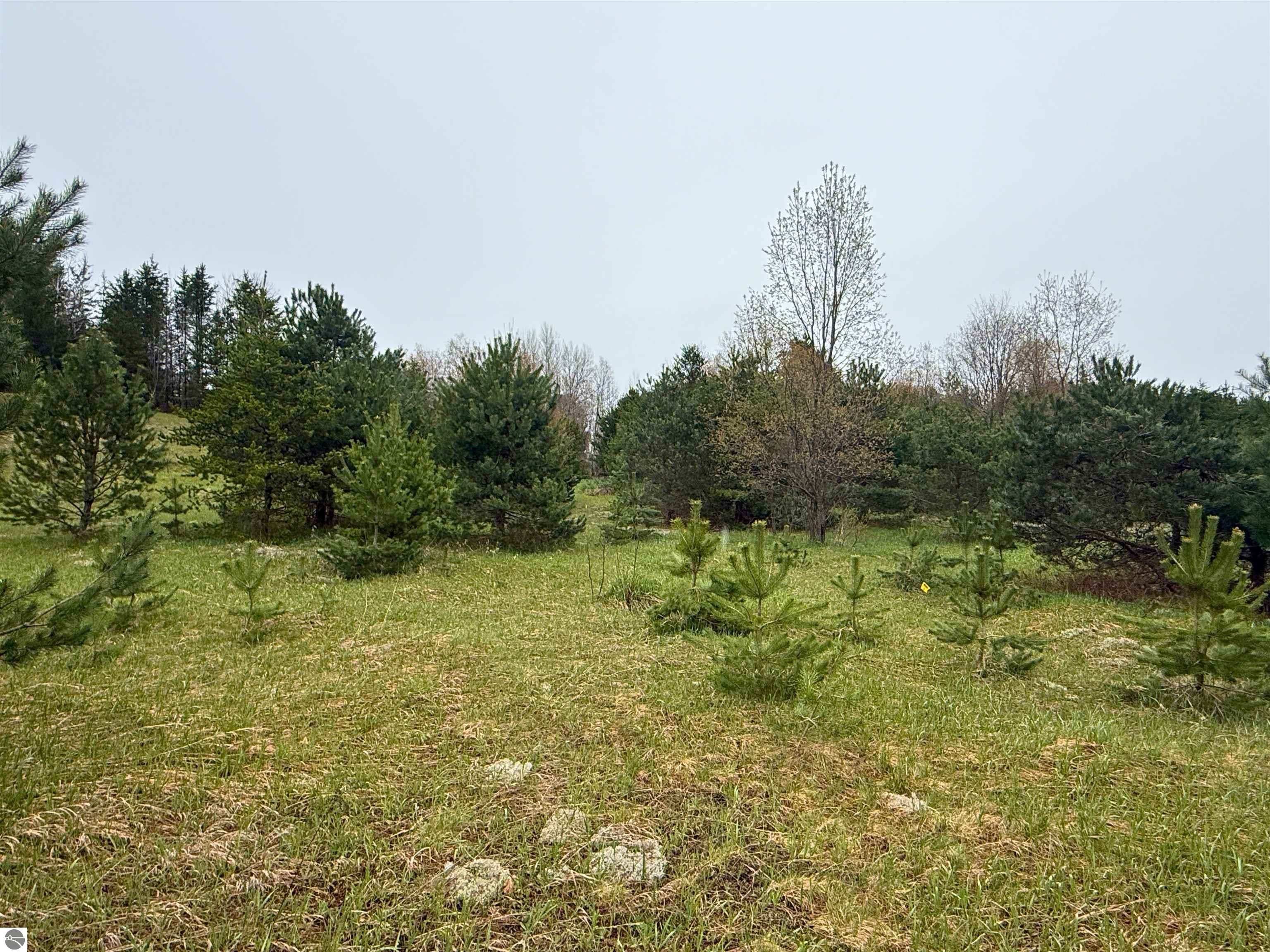 00 W County Line Road