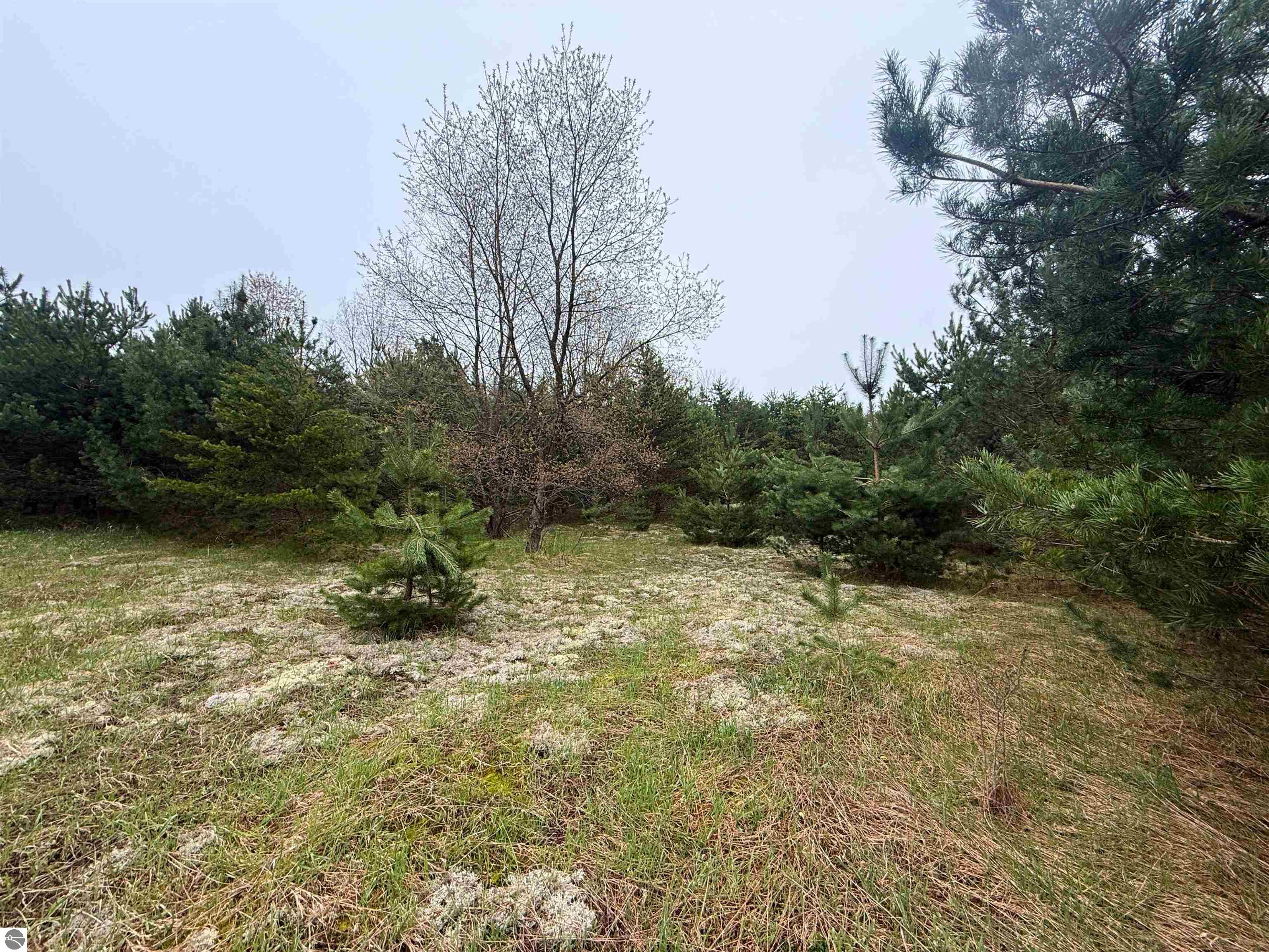 00 W County Line Road