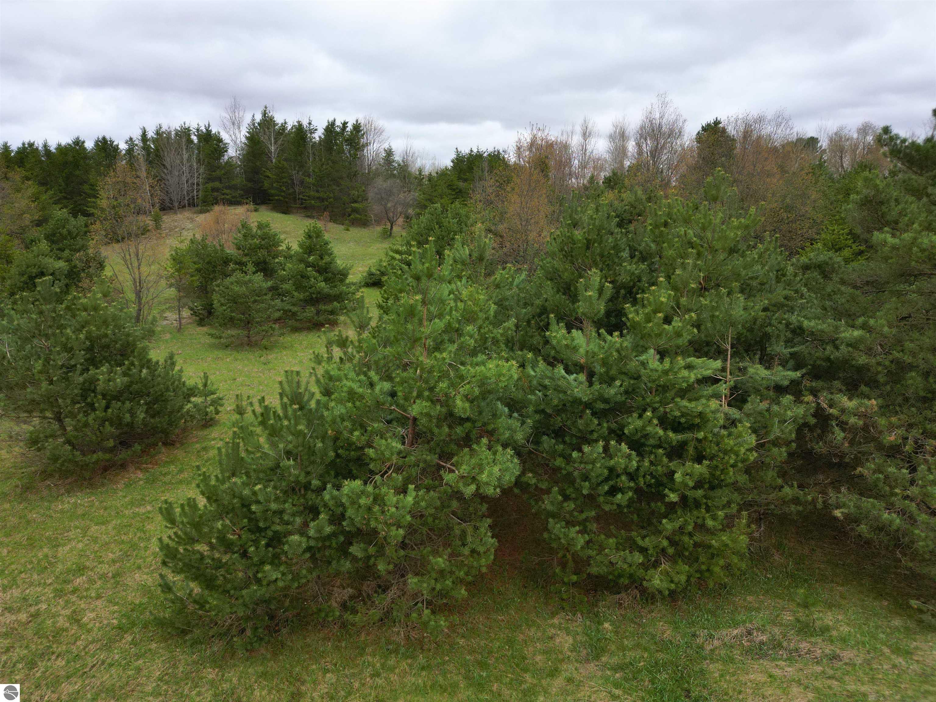 00 W County Line Road