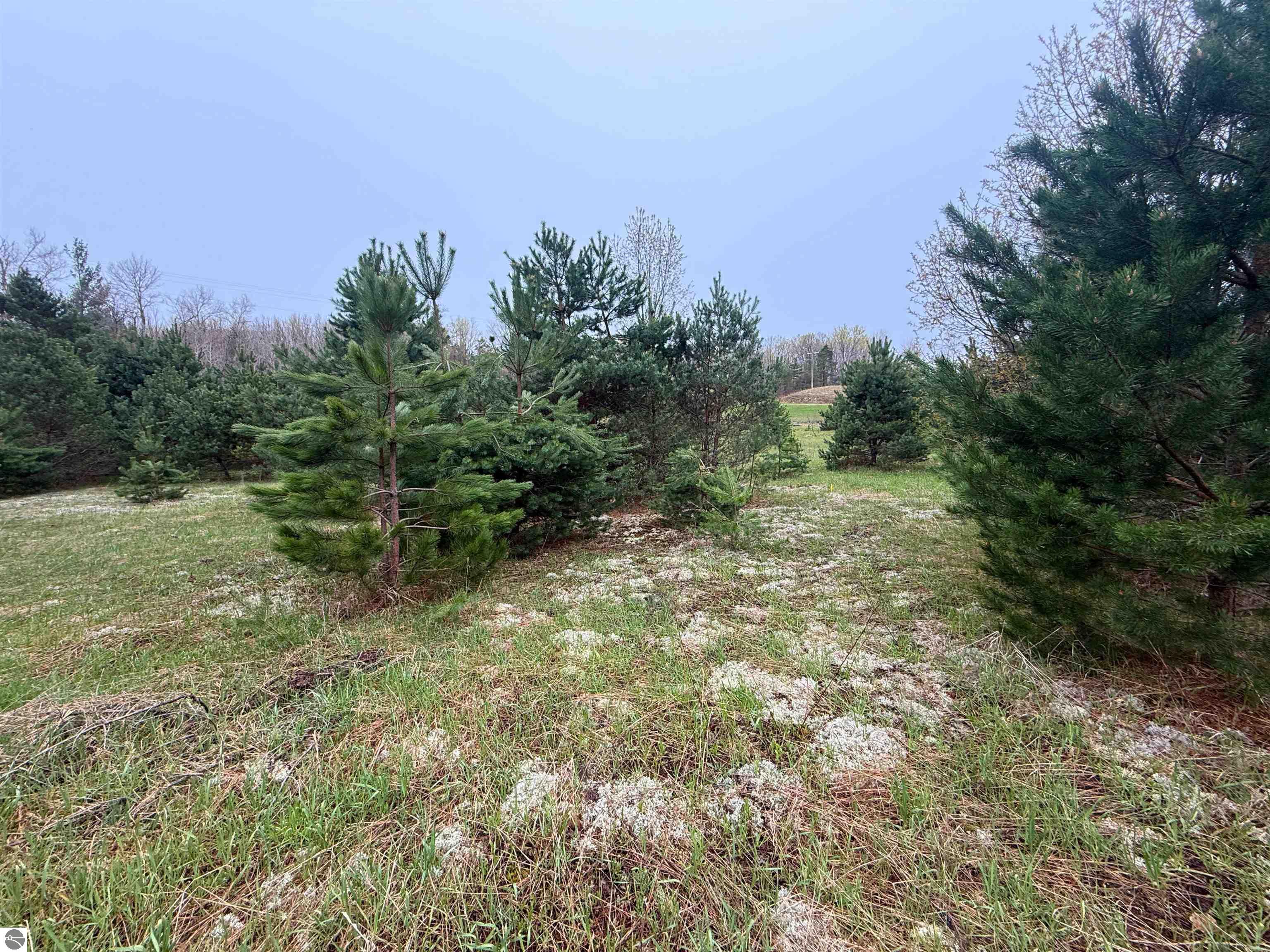00 W County Line Road
