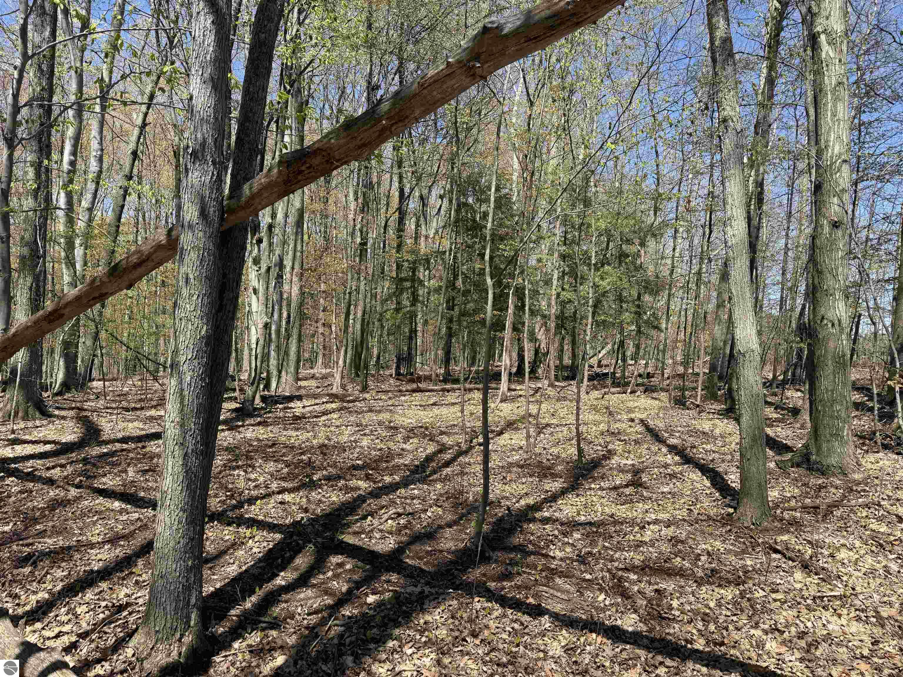 0000 Martin Road