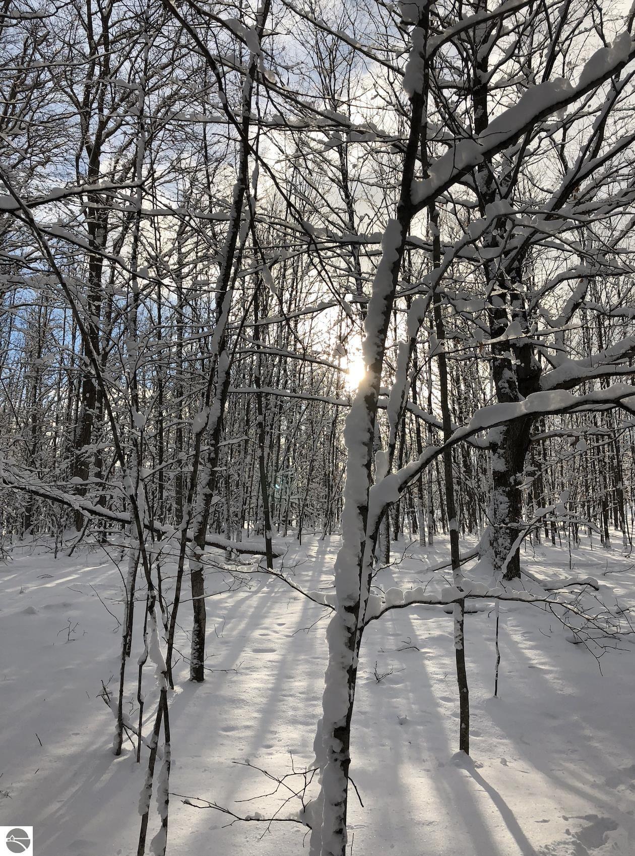00 W Deborah Ann Trail